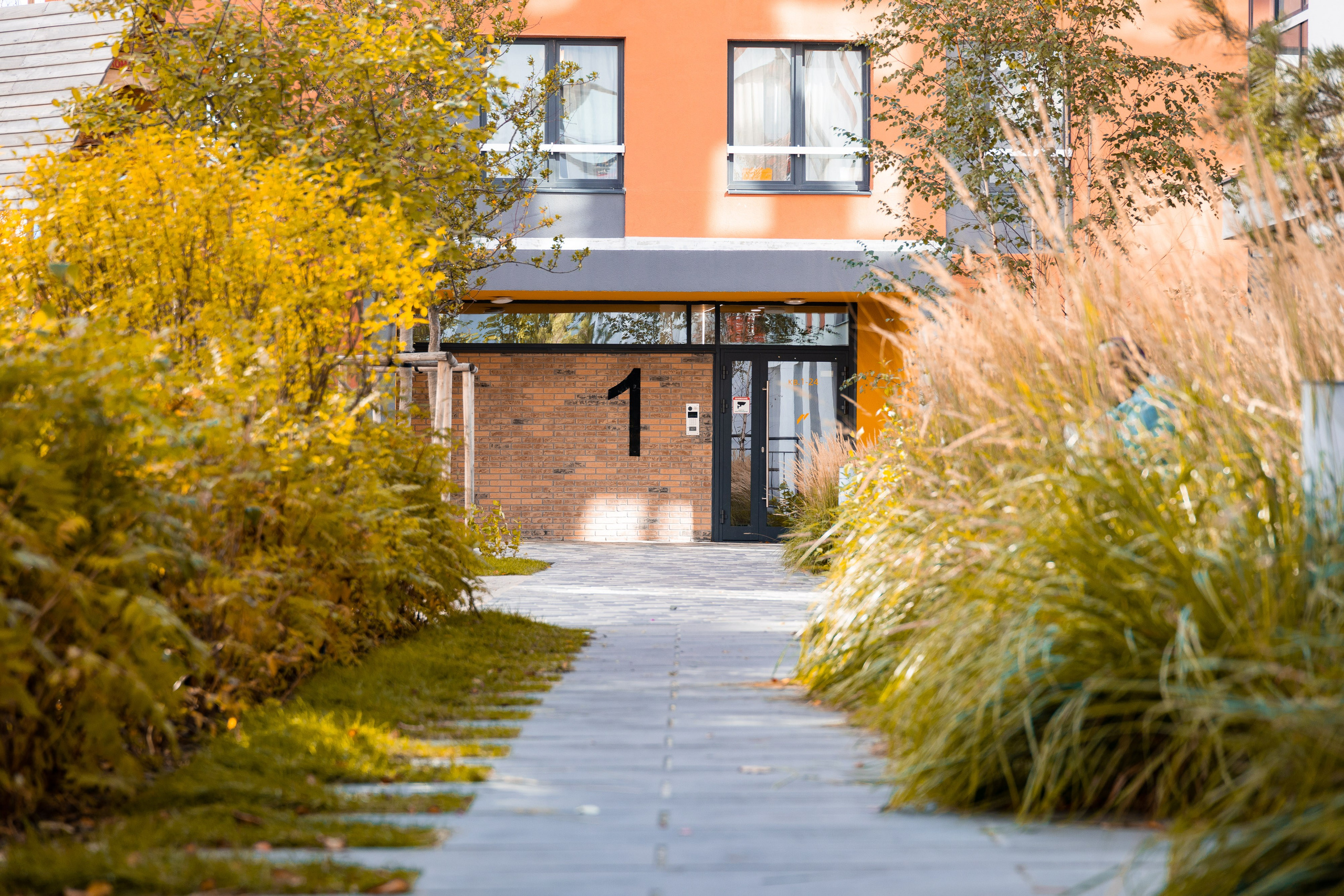 «Эталон» в Солнечном. Фотограф Родион Нарудинов