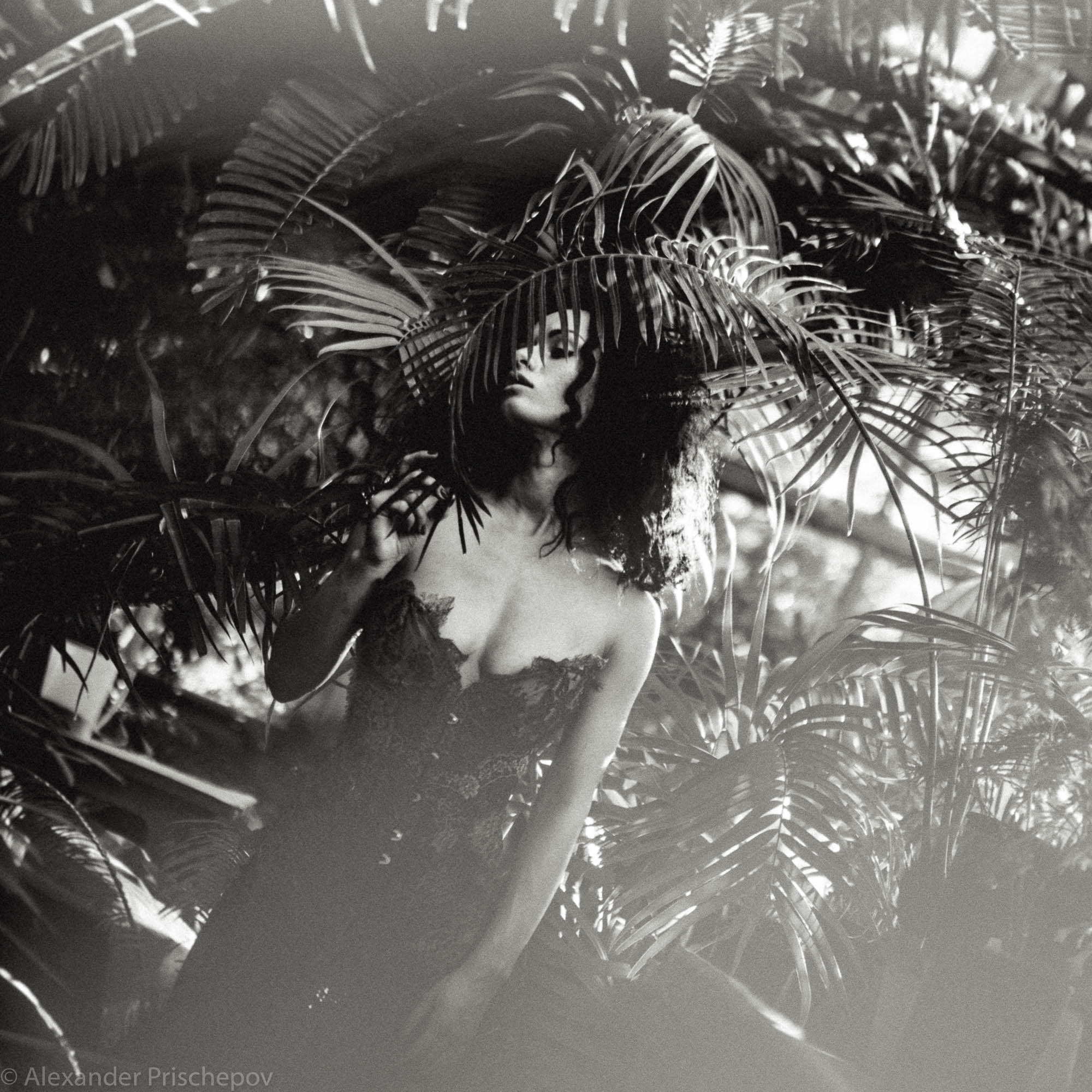 В саду. Александр Прищепов - фотограф, режиссёр, продюсер