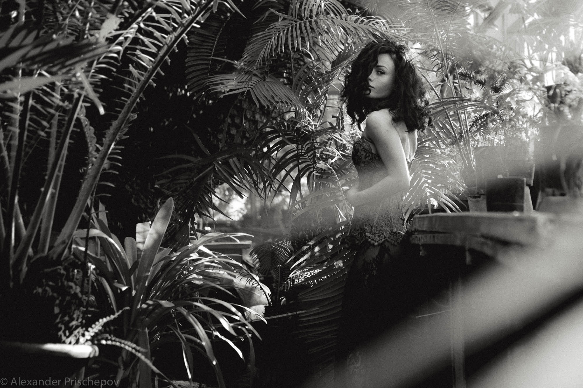 В саду. Александр Прищепов - фотограф, режиссёр, продюсер