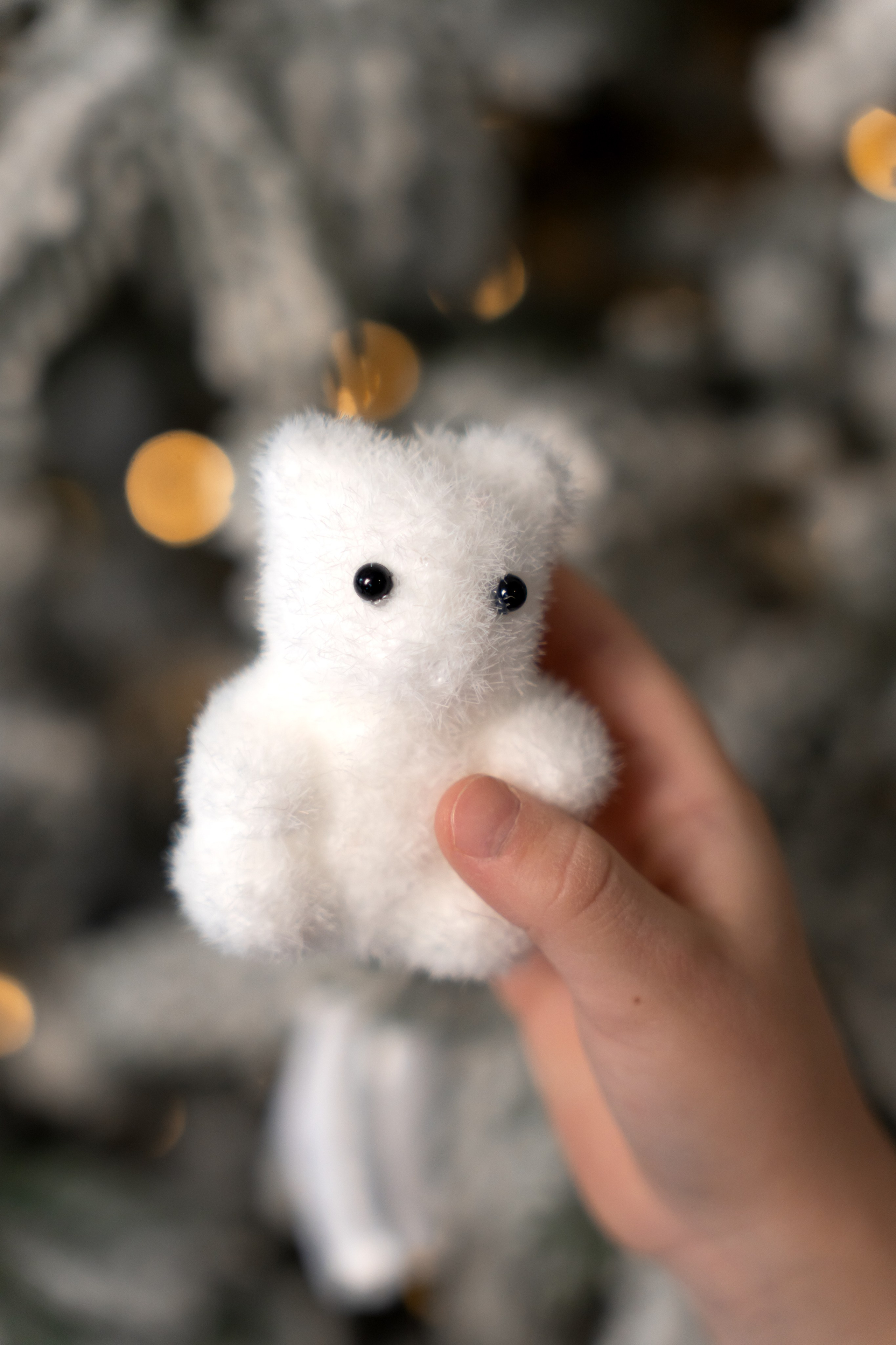 Классная семья. Фотограф в Красноярске. Юлия Чаушанская