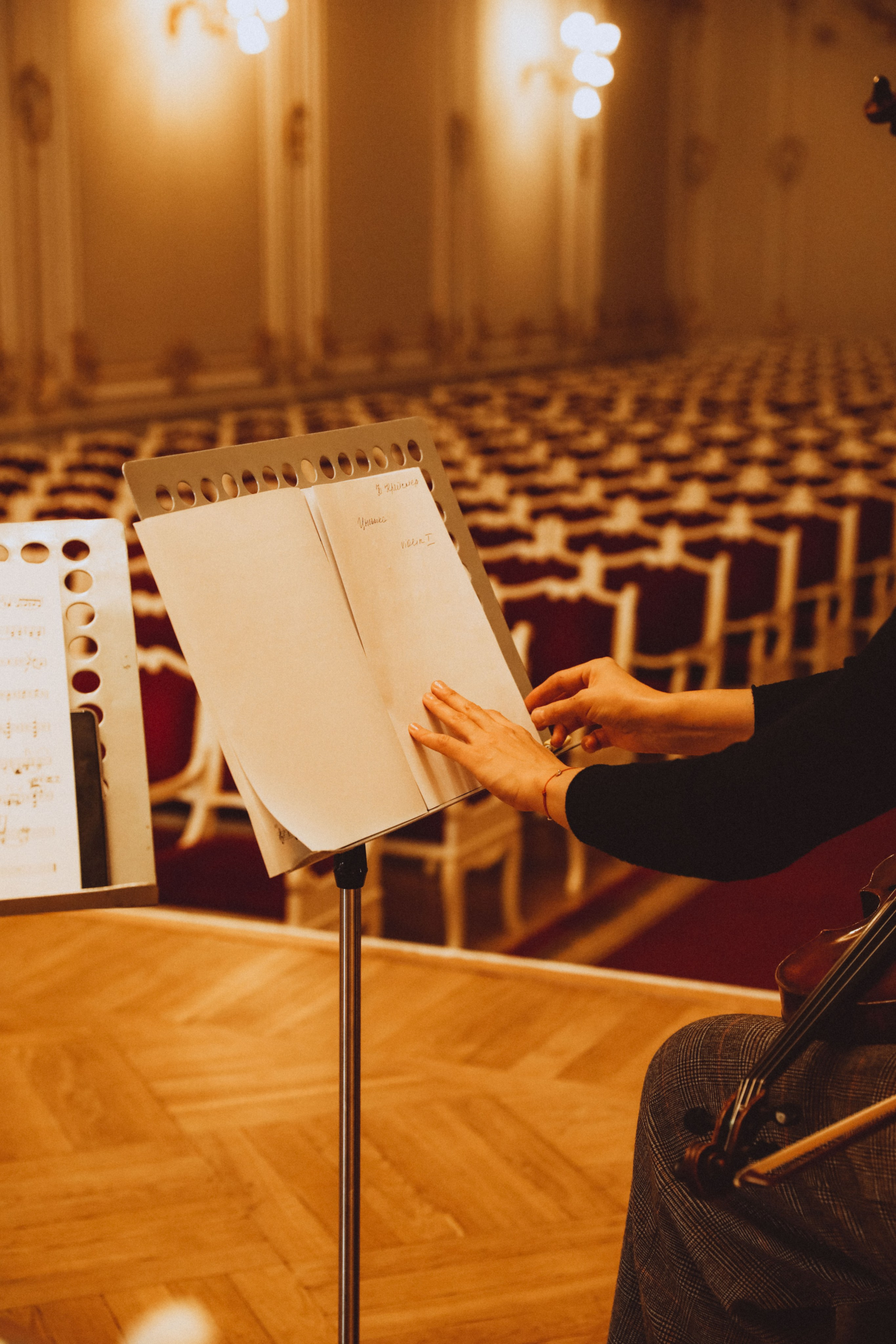VivaMuse МЗФ. Семейный и детский фотограф в Санкт-Петербурге Юлия Суркова