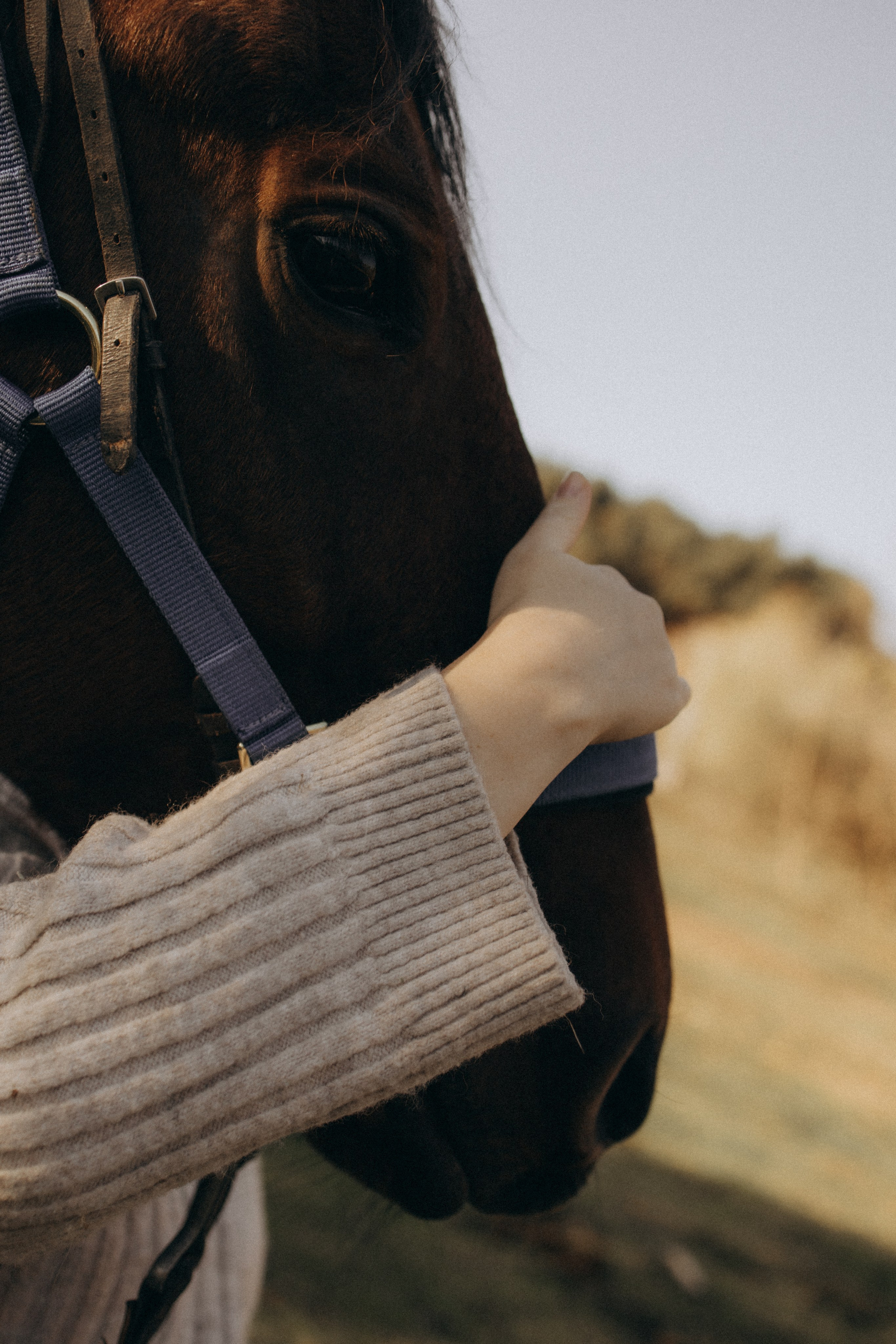 Полина. Фотограф в Туле и Алексине Стулова Мария