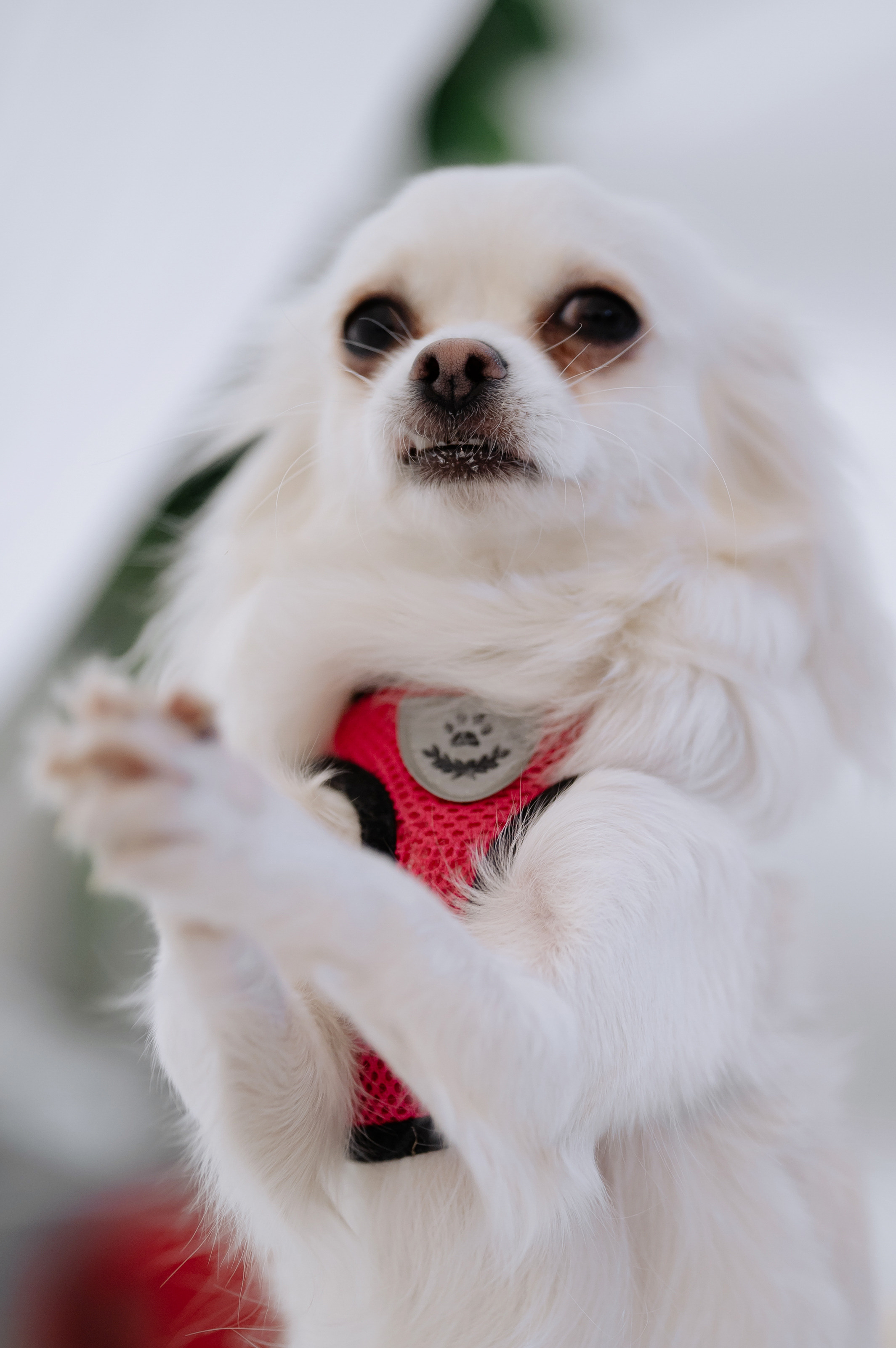 Евгений и Юлия. Свадебный и Event фотограф в Москве | Андрей Губренко | Gubrenko