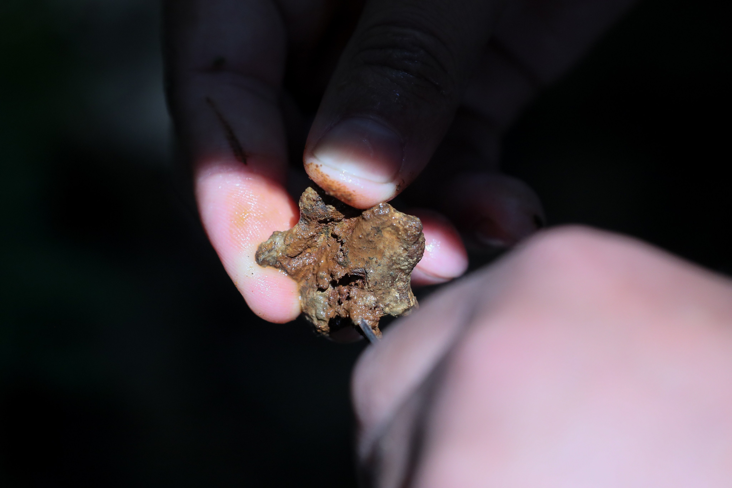 Ржев. Калининский фронт. Виктор Вытольский —репортажный и событийный фотограф в Москве