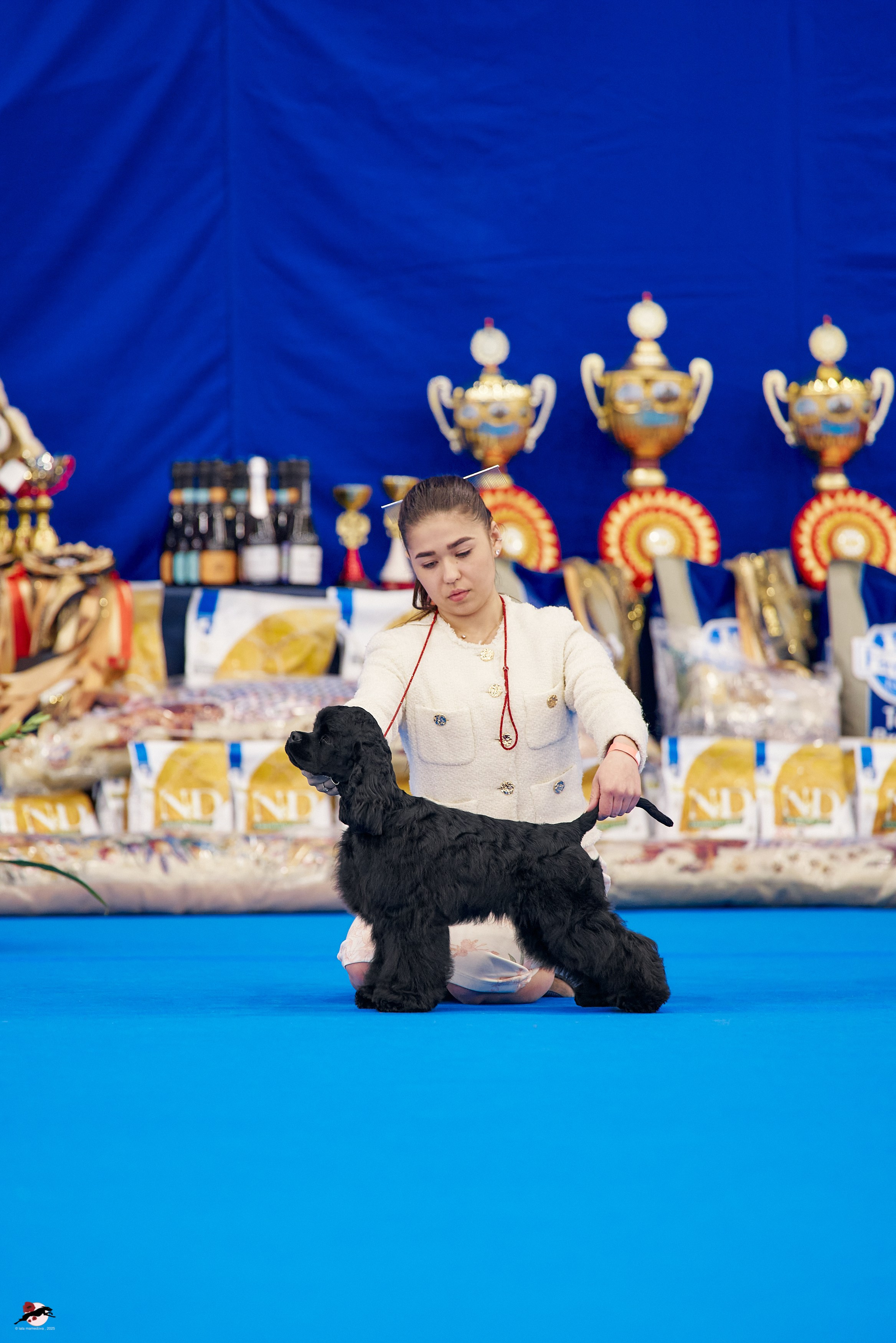 27.04.2025 | "Петербург-Элита 2025" & «КУБОК «ЭЛИТЫ»-2025»