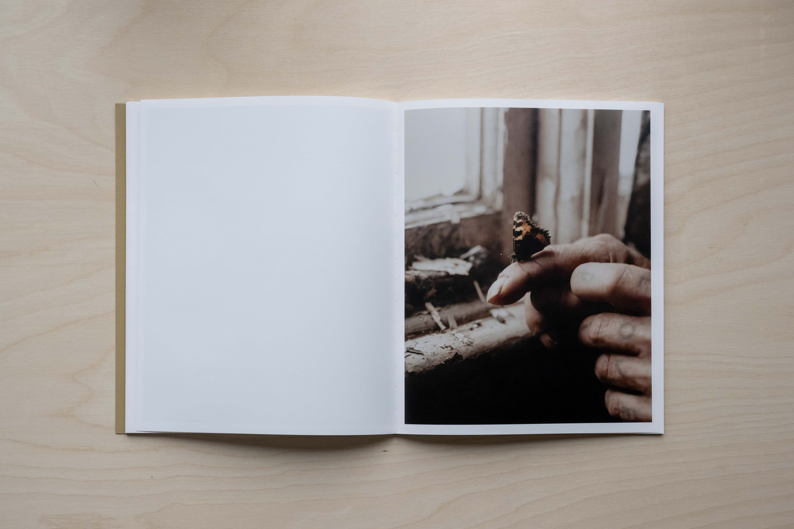 Книга Макса Меховски (Max Miechowski) «Land Loss». Private image