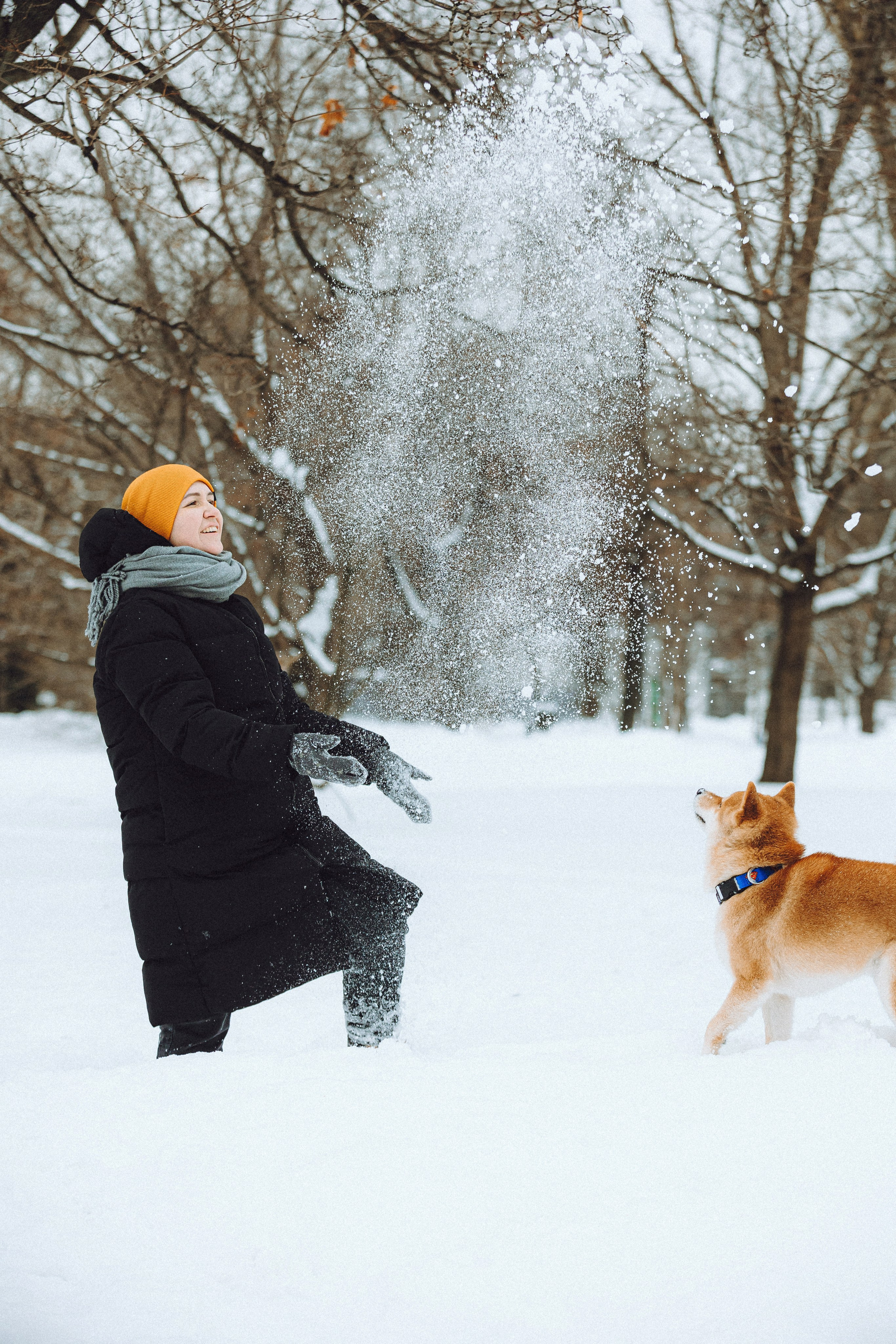 Настя и Ронин