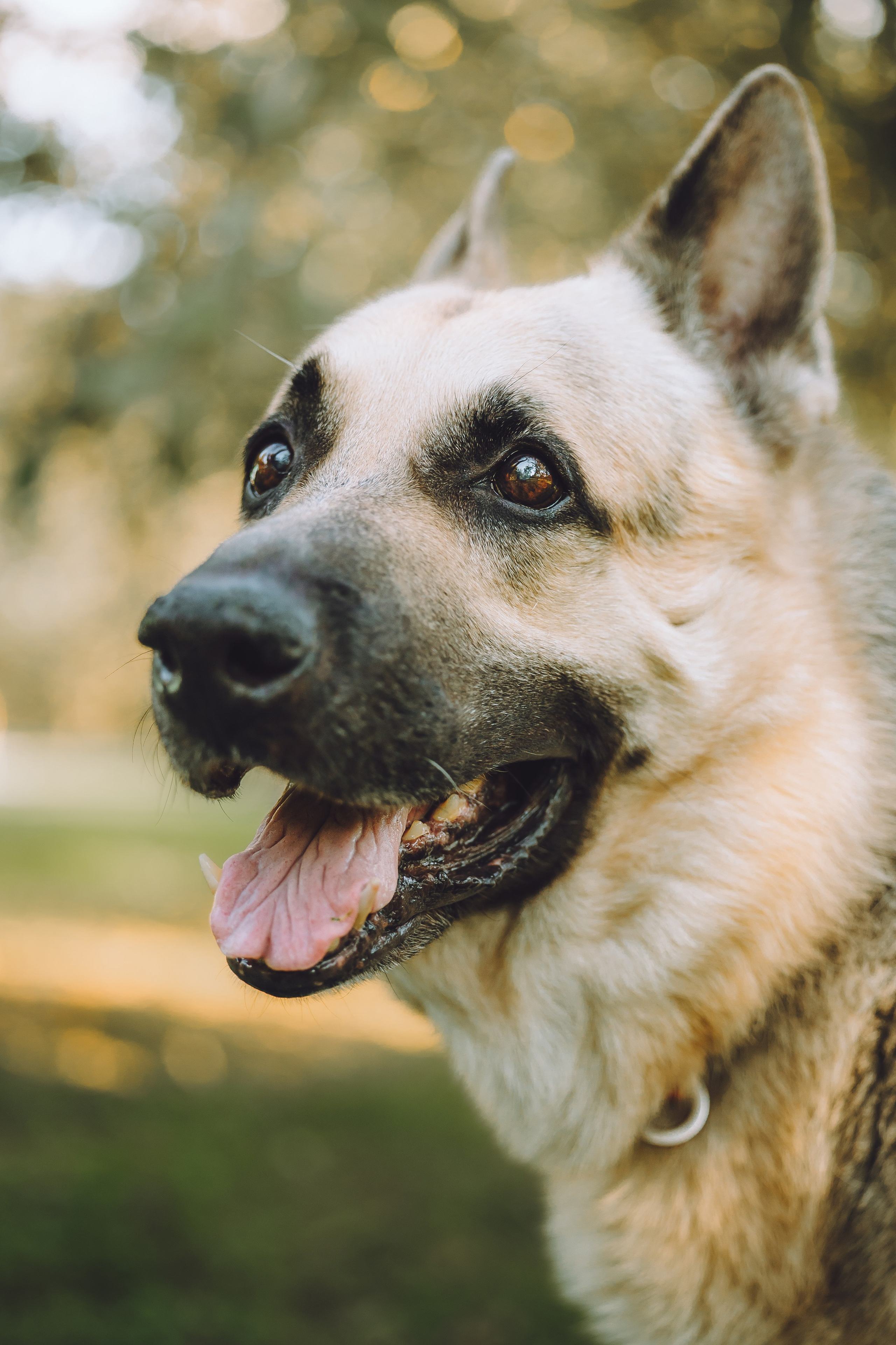 Кристина и все-все