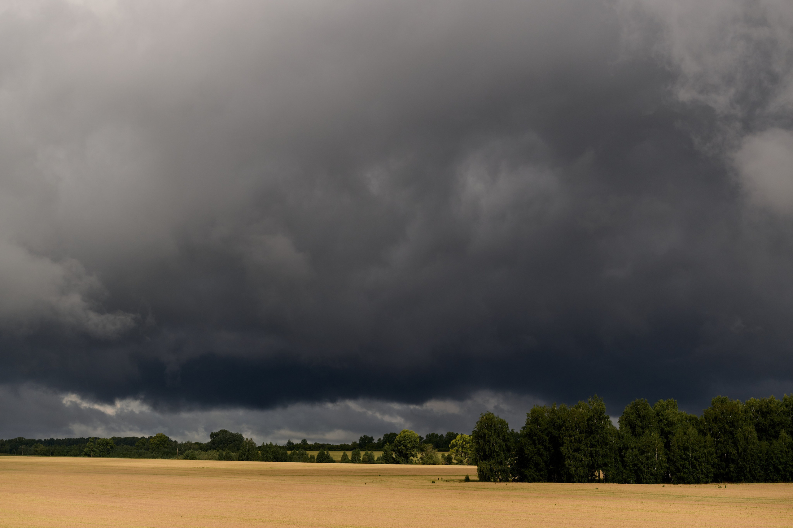4 этап кубка Ракета 2025 год. Сергей Богомолов. Свадебный и семейный фотограф