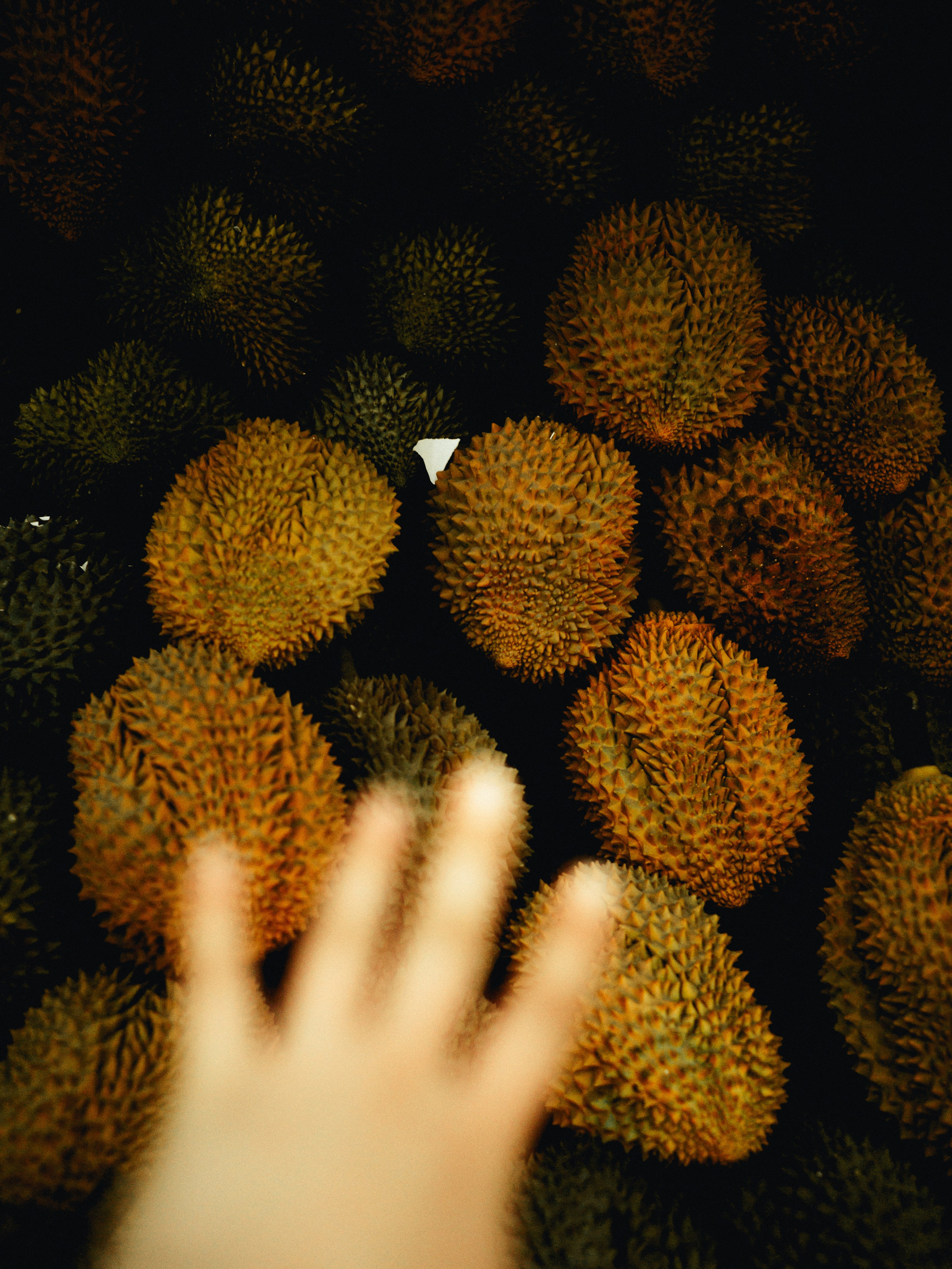 Shang Hai 上海. Фотограф и видеограф в Благовещенске и Санкт-Петербурге Мурыгина Мария