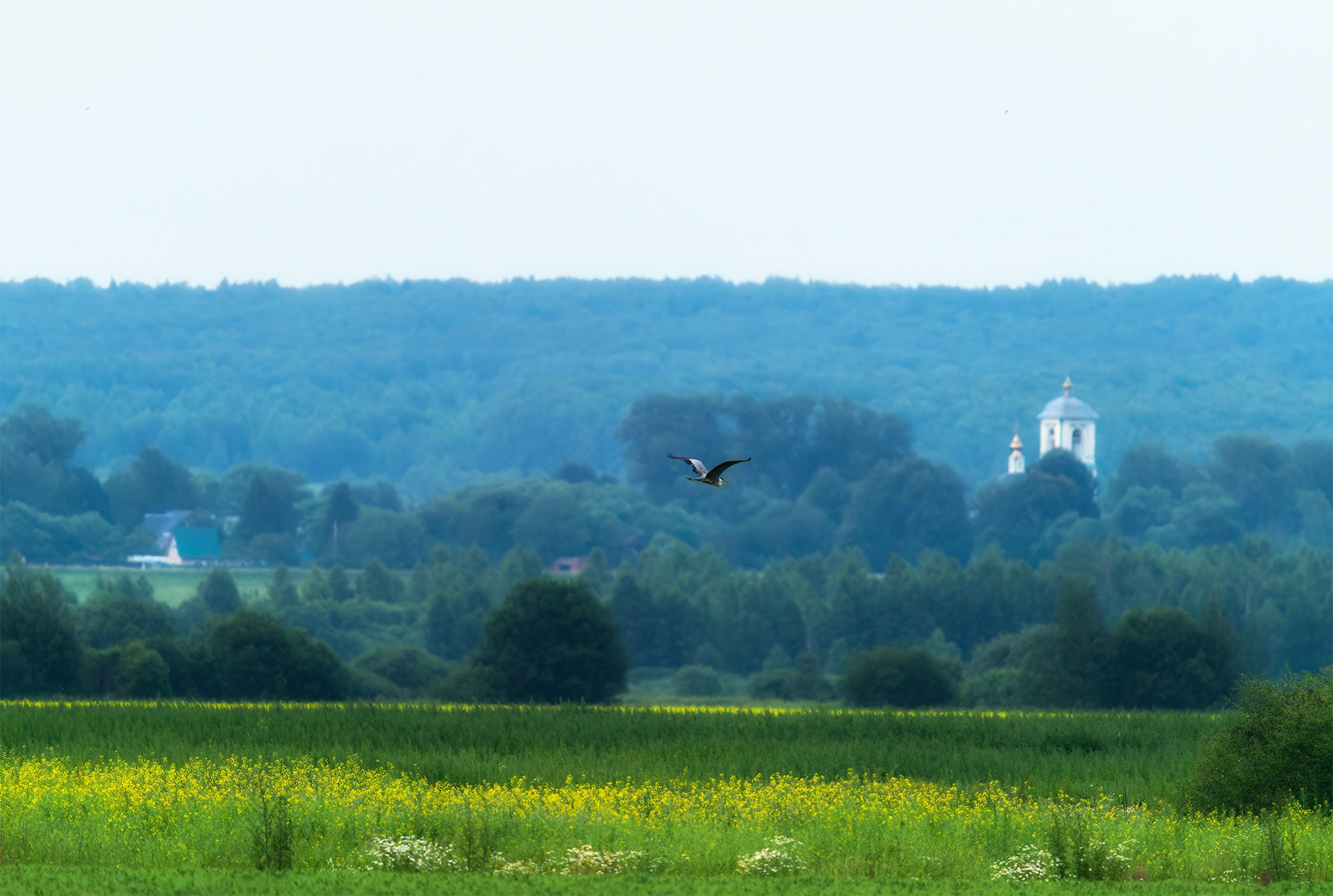 Природа. Ваш личный фотограф Марина Волкова