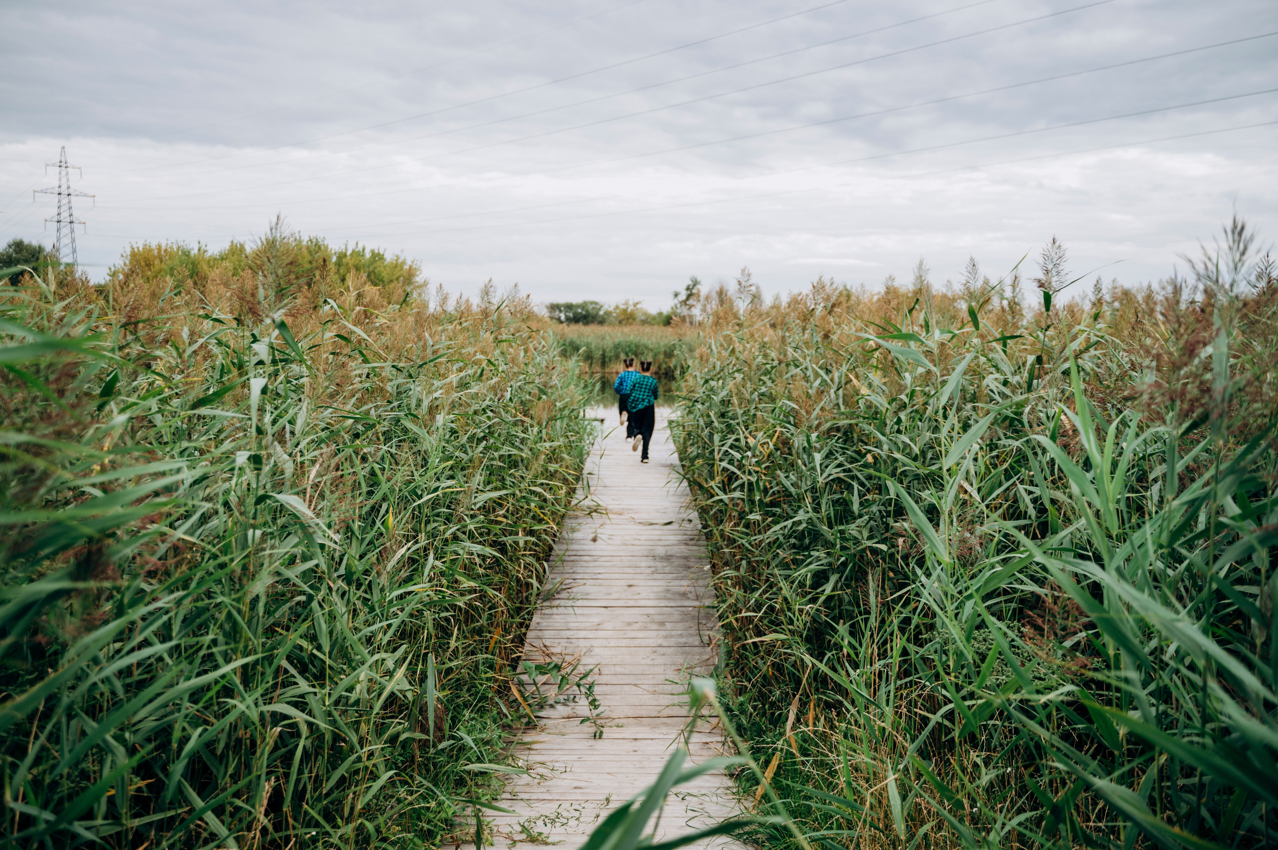 В унисон. Семейный и детский фотограф Анастасия Монченко