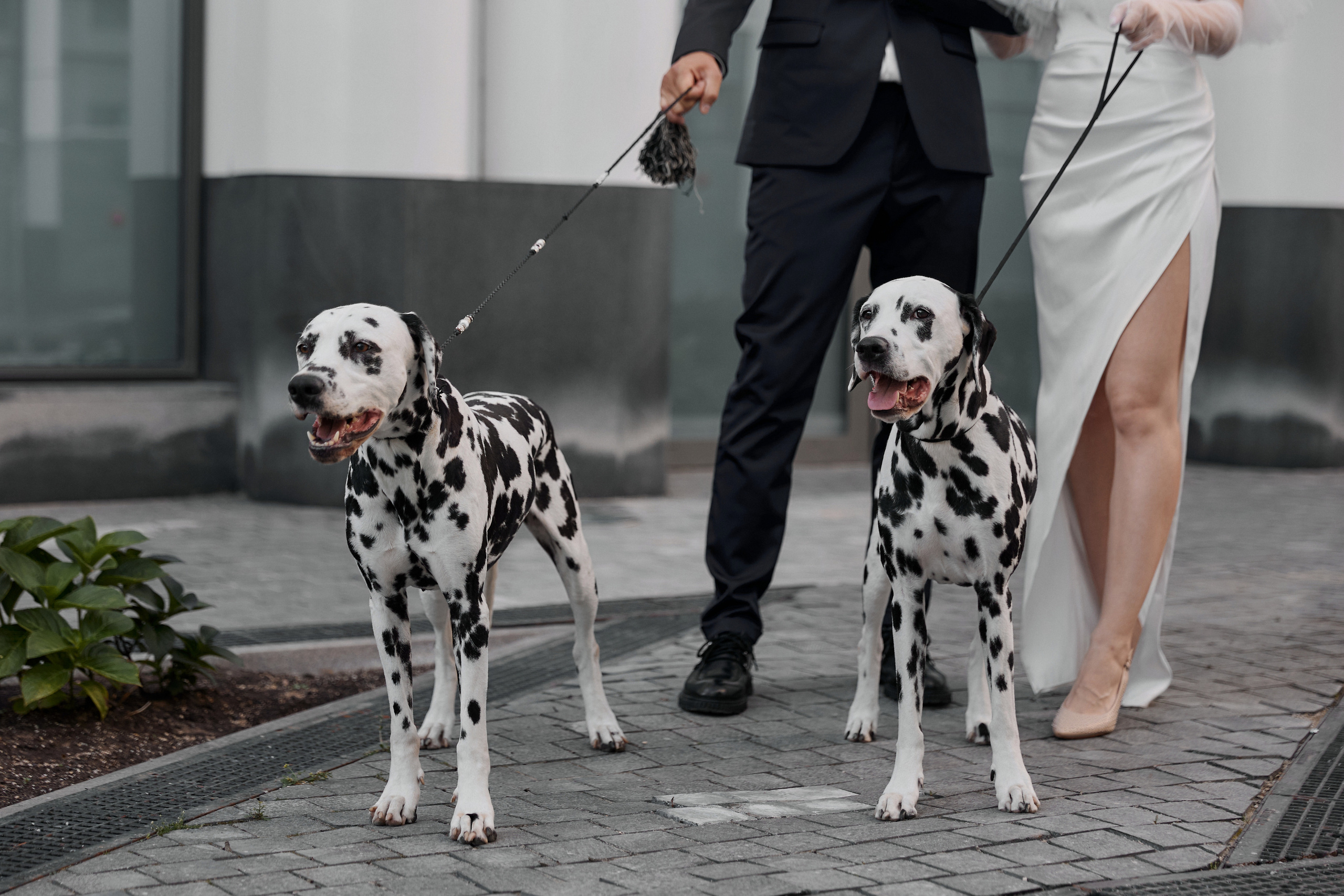 Наташа и Руслан. Свадебный фотограф в Москве и Подмосковье