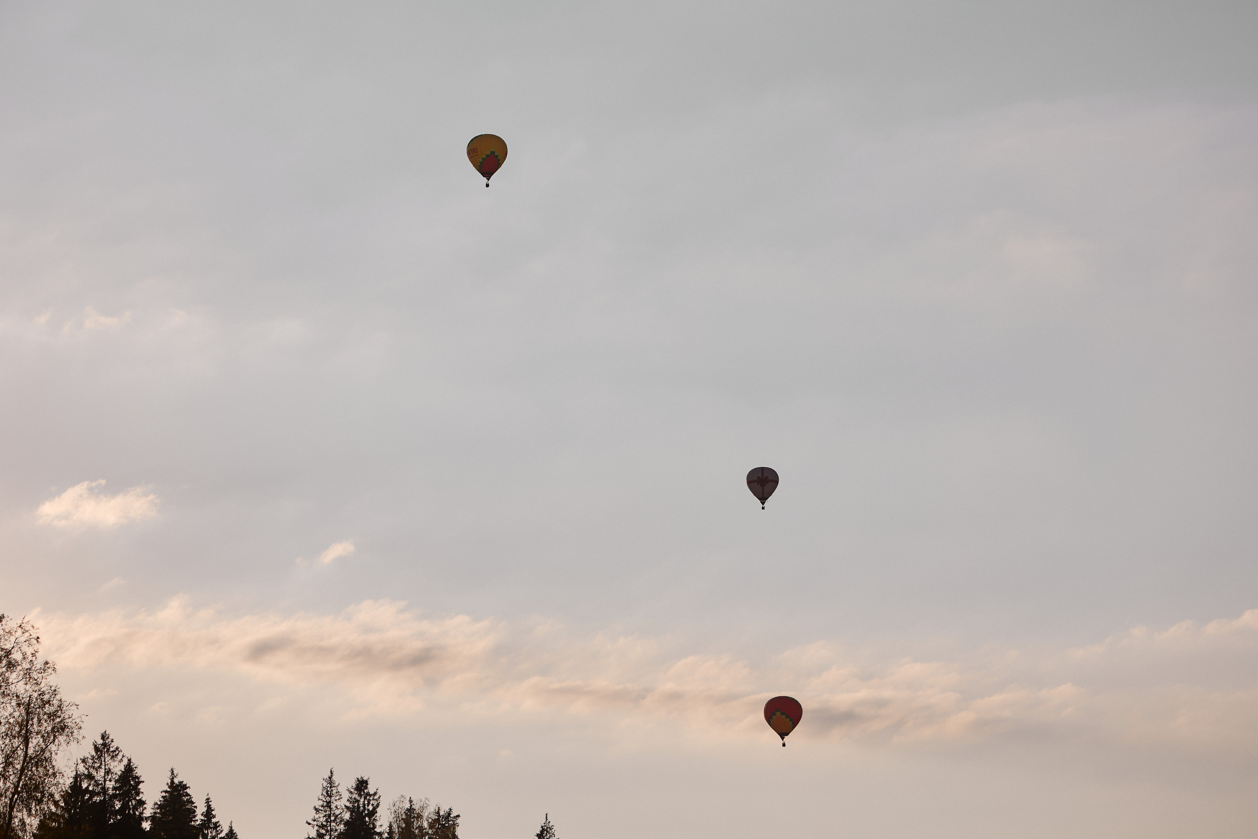 Марина и Роман. Свадебный фотограф в Москве и Подмосковье