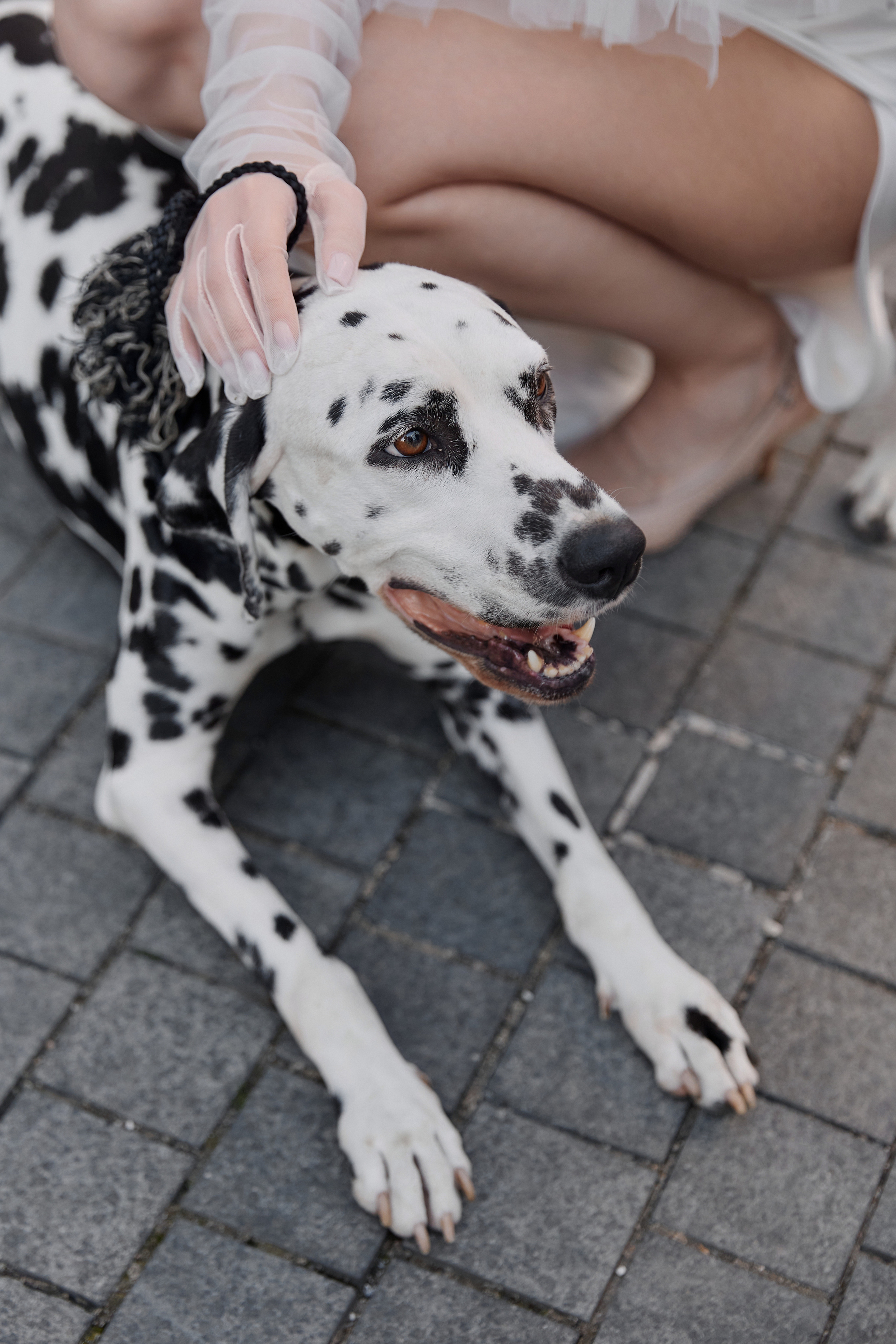 Наташа и Руслан. Свадебный фотограф в Москве и Подмосковье