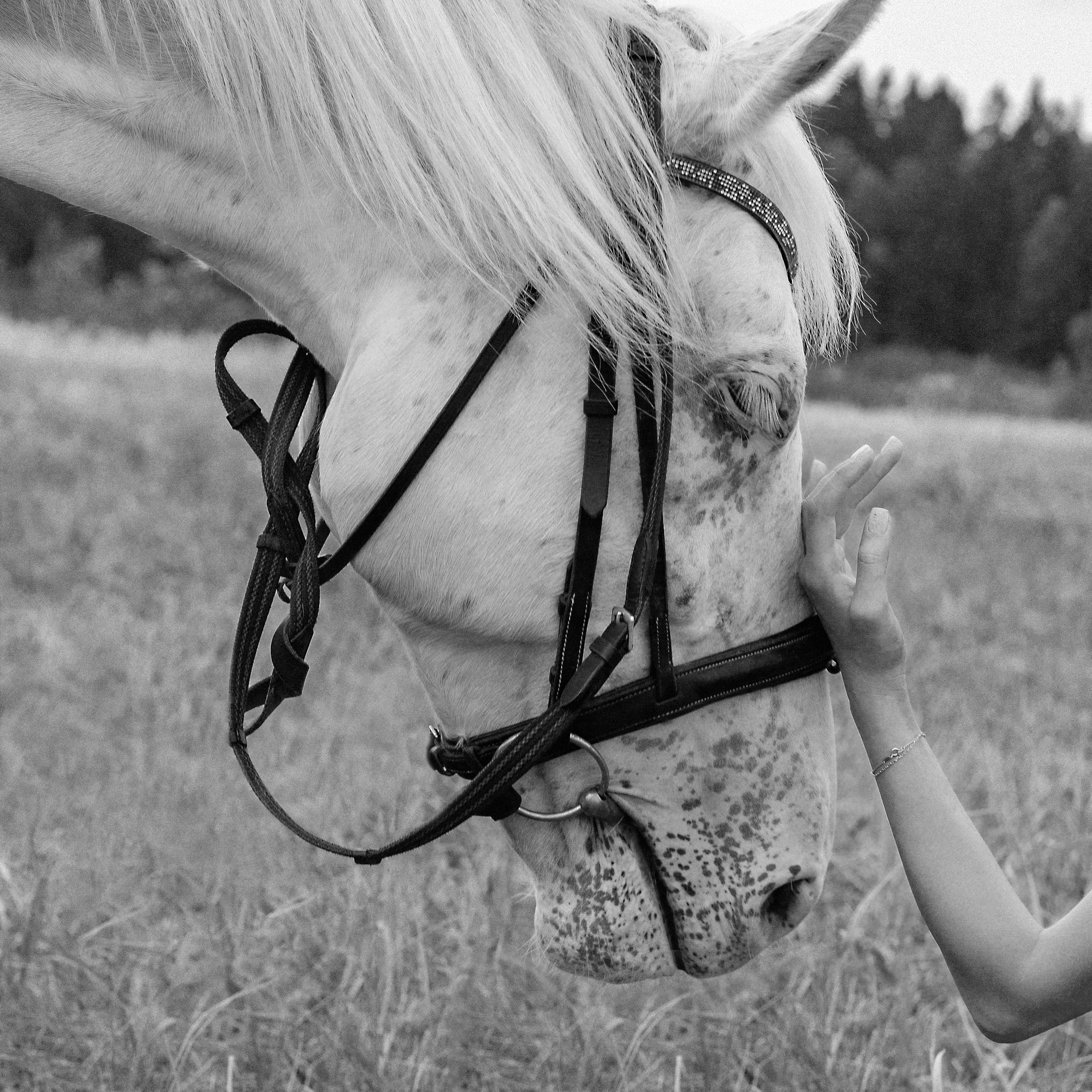 Арина на конной прогулке. Женский фотограф в Москве Светлана Смагина