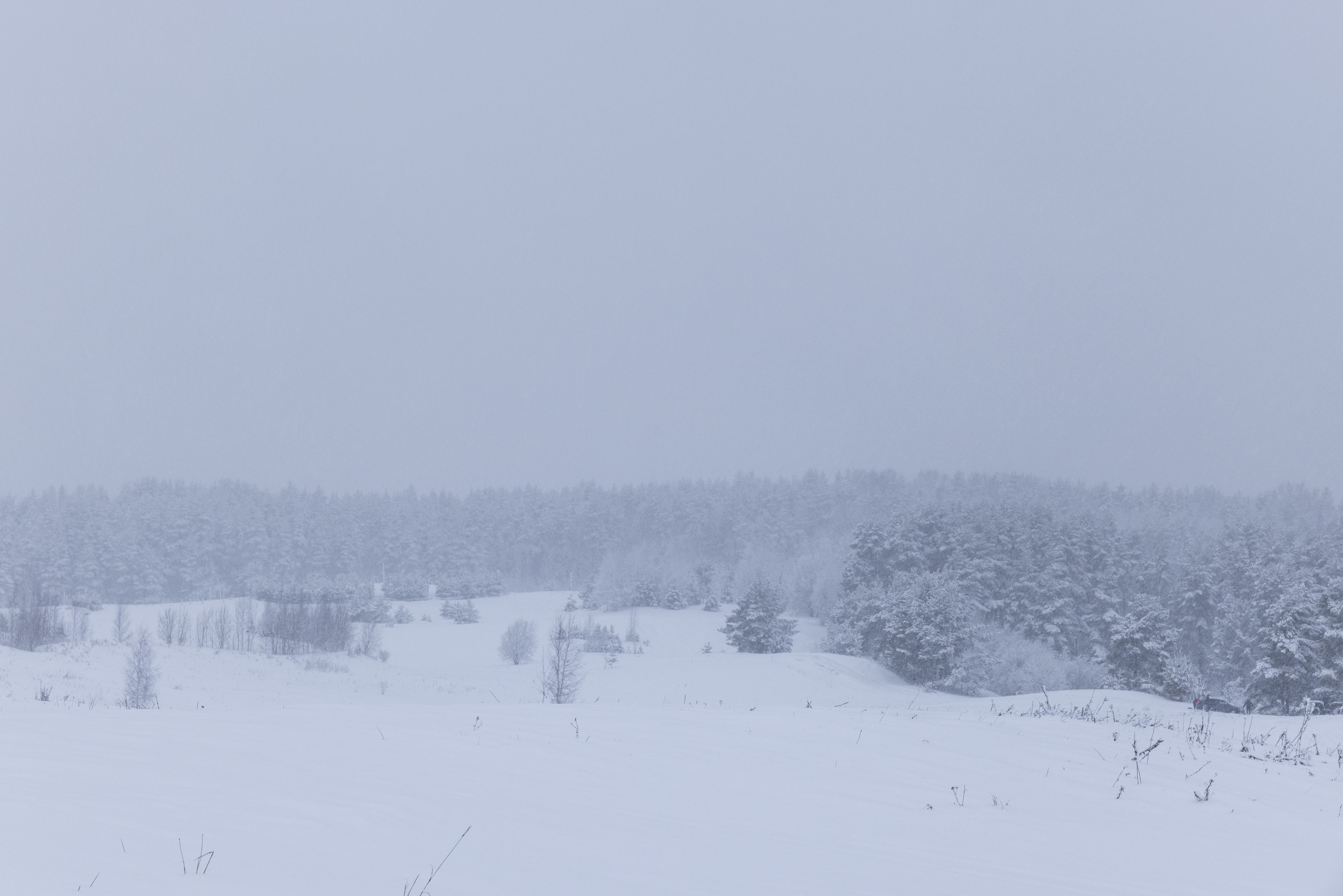 Зимние покатушки. Автомобильная фотография в Санкт-Петербурге