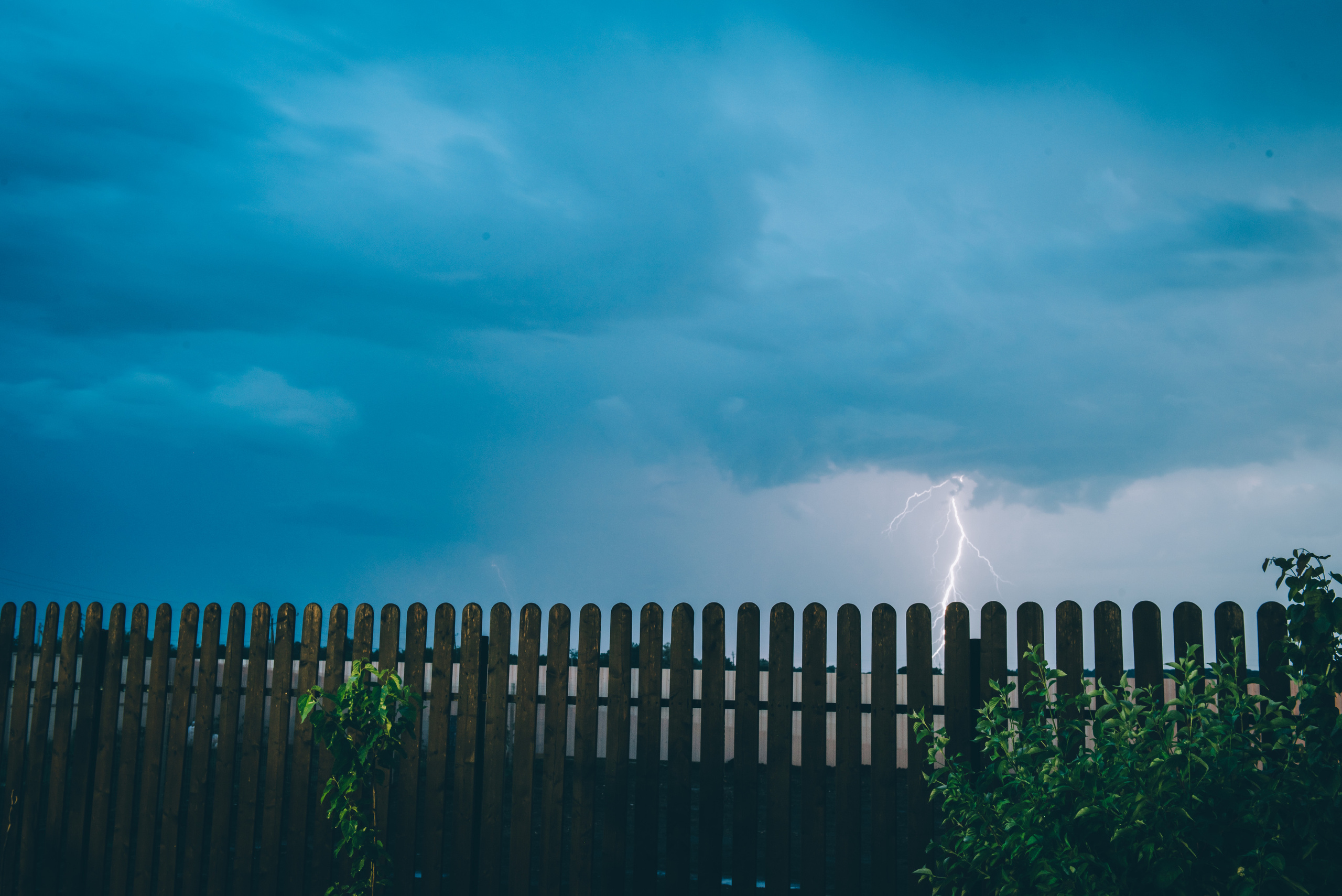 Счастливая семья, коты и собака. Семейный и контент фотограф в Краснодаре Вадим Лагутов