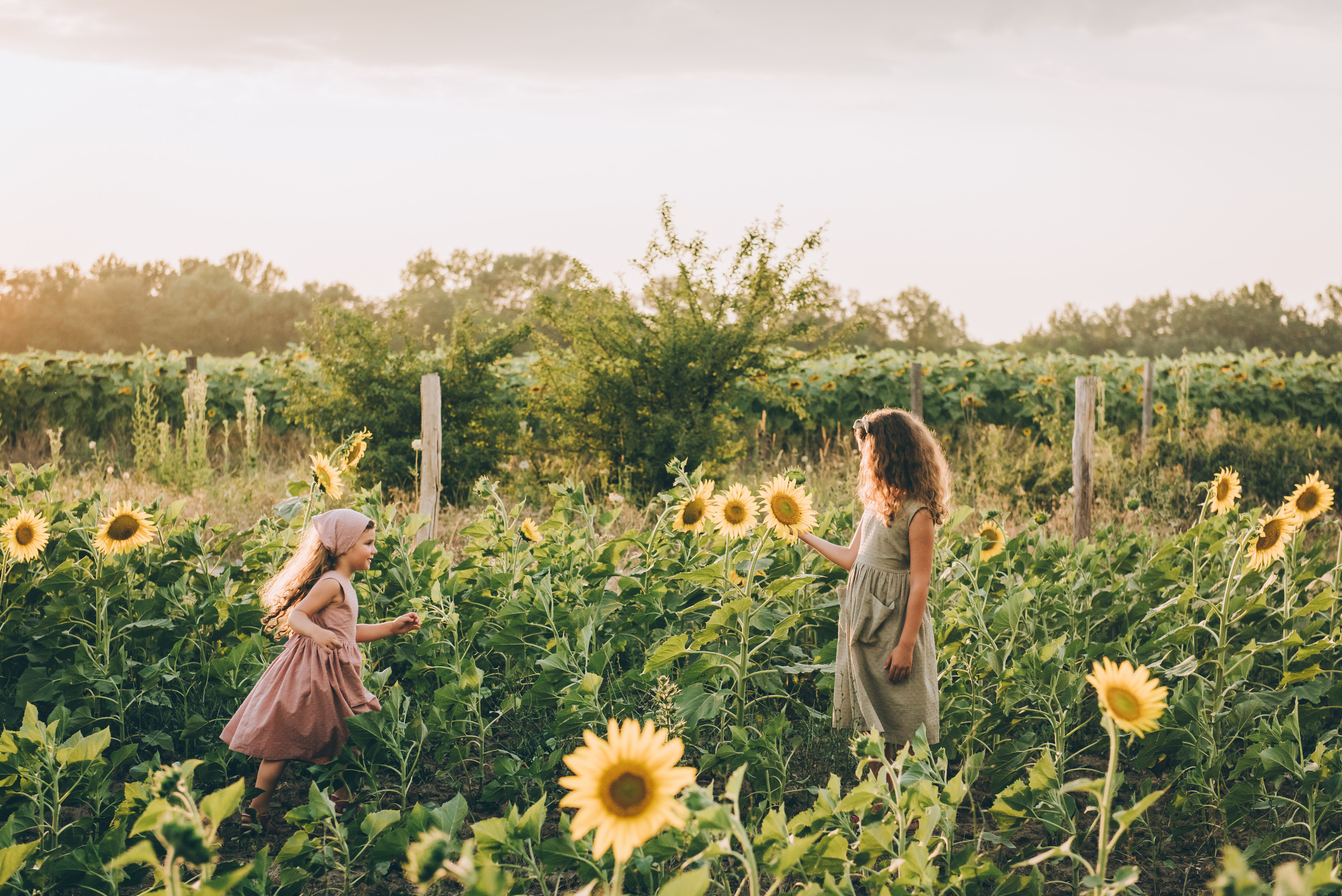 Счастливая семья, коты и собака. Семейный и контент фотограф в Краснодаре Вадим Лагутов