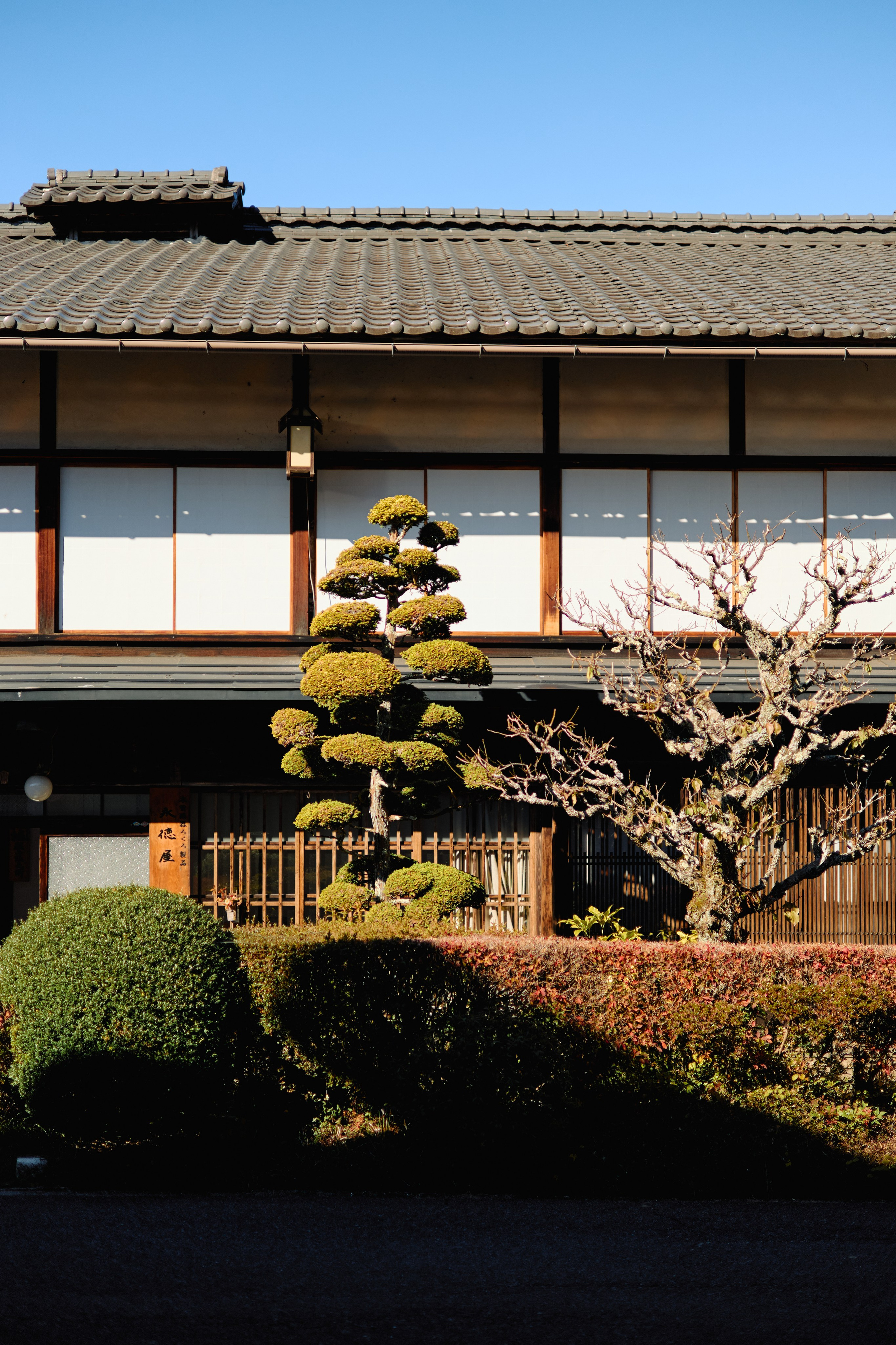 Япония. Профессиональный Фотограф во Владимире, в Москве и в Суздале — Полина Романычева