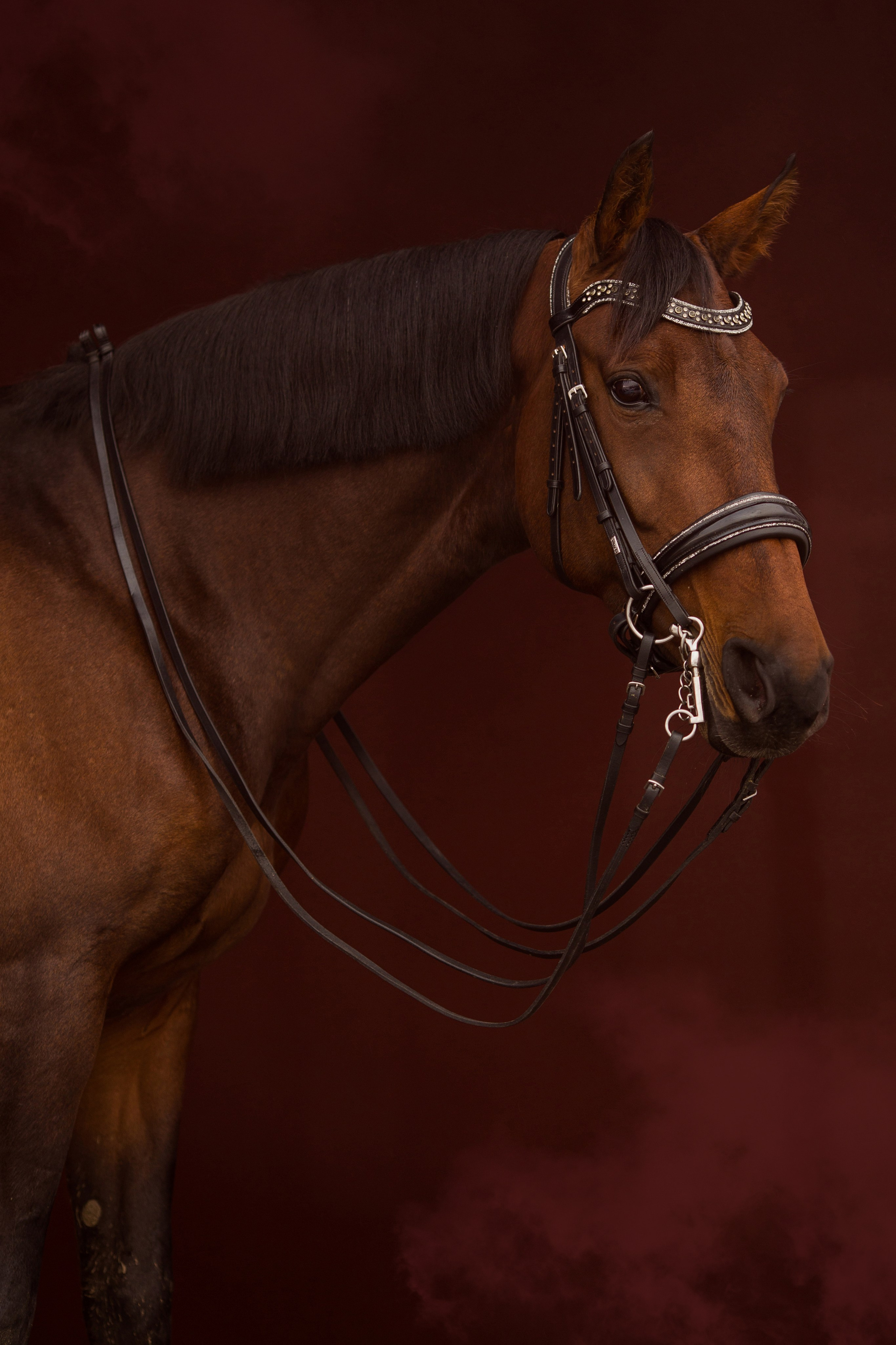 Фотосессия с лошадью в конюшне