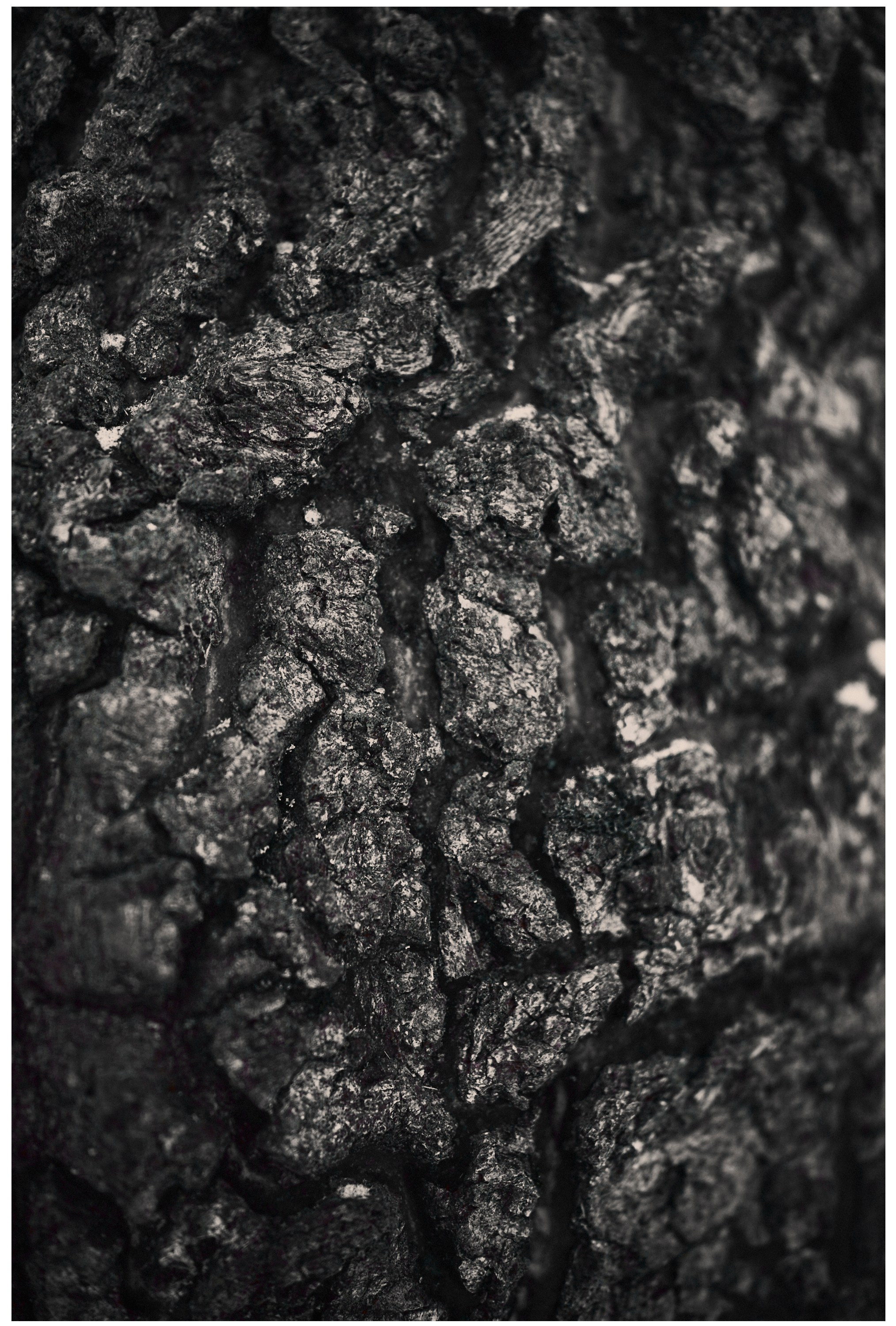 Каркас. Коммерческий фотограф в Казани Ксения Добролюбова