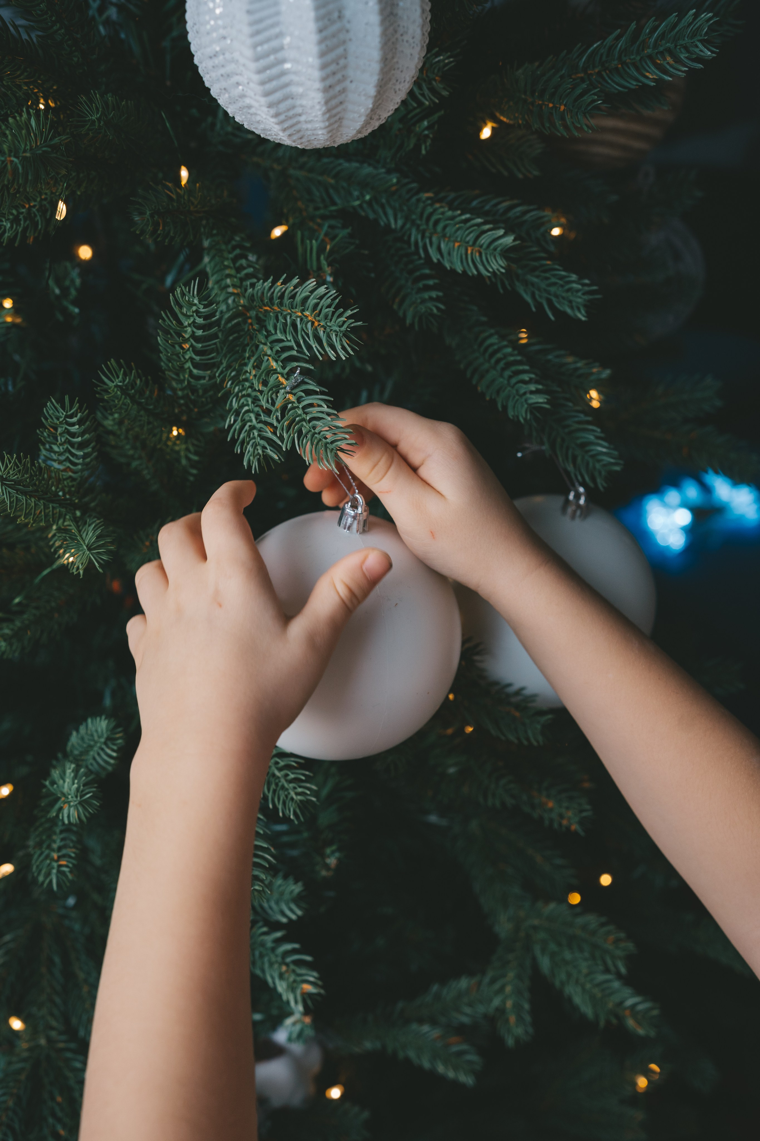 Новогодняя семейная съемка с двумя детьми. Фотограф Екатерина Канчалаба