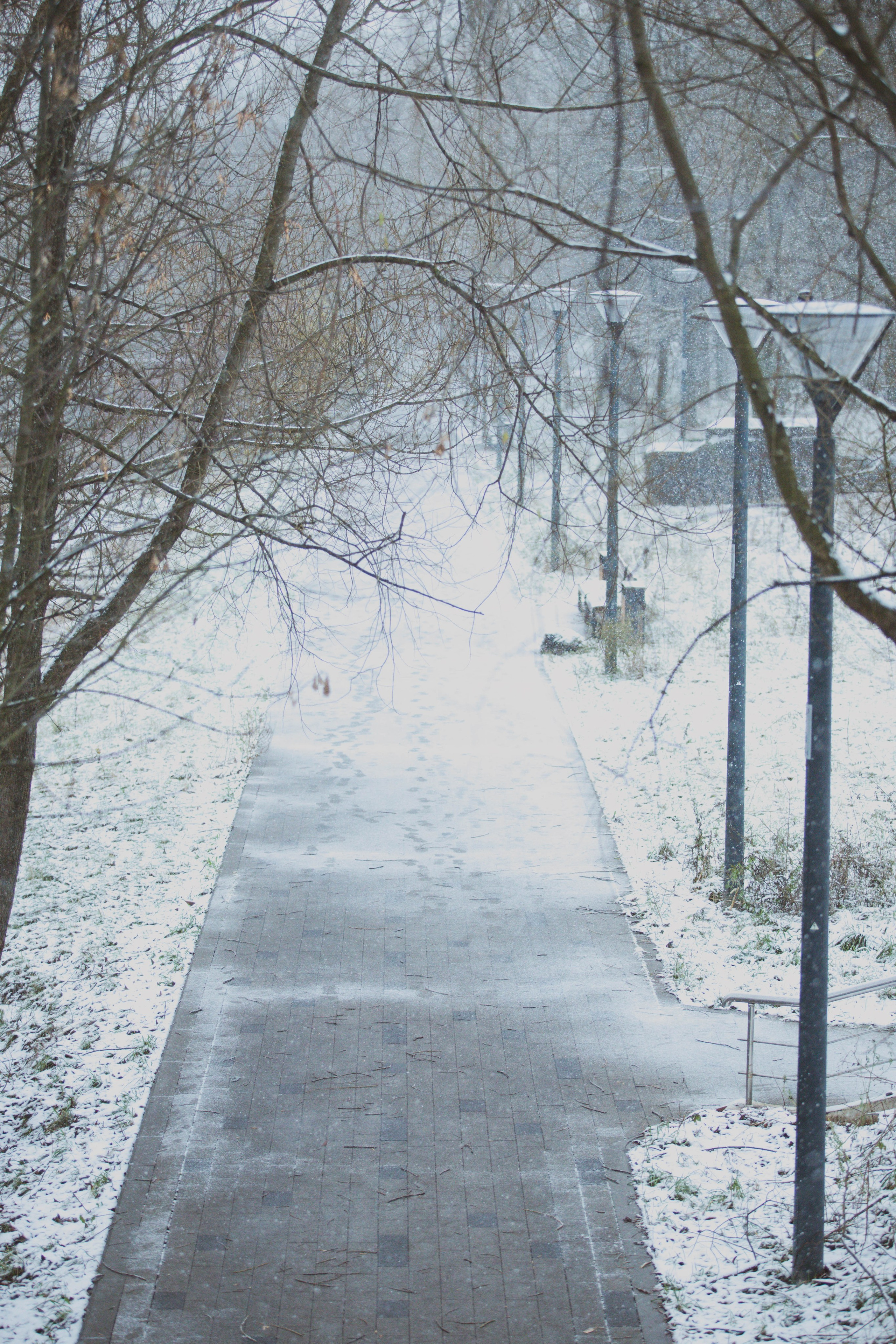 Снежные 5 Верст Бабушкинская. Александра Мельниченко/ Бегающий фотограф