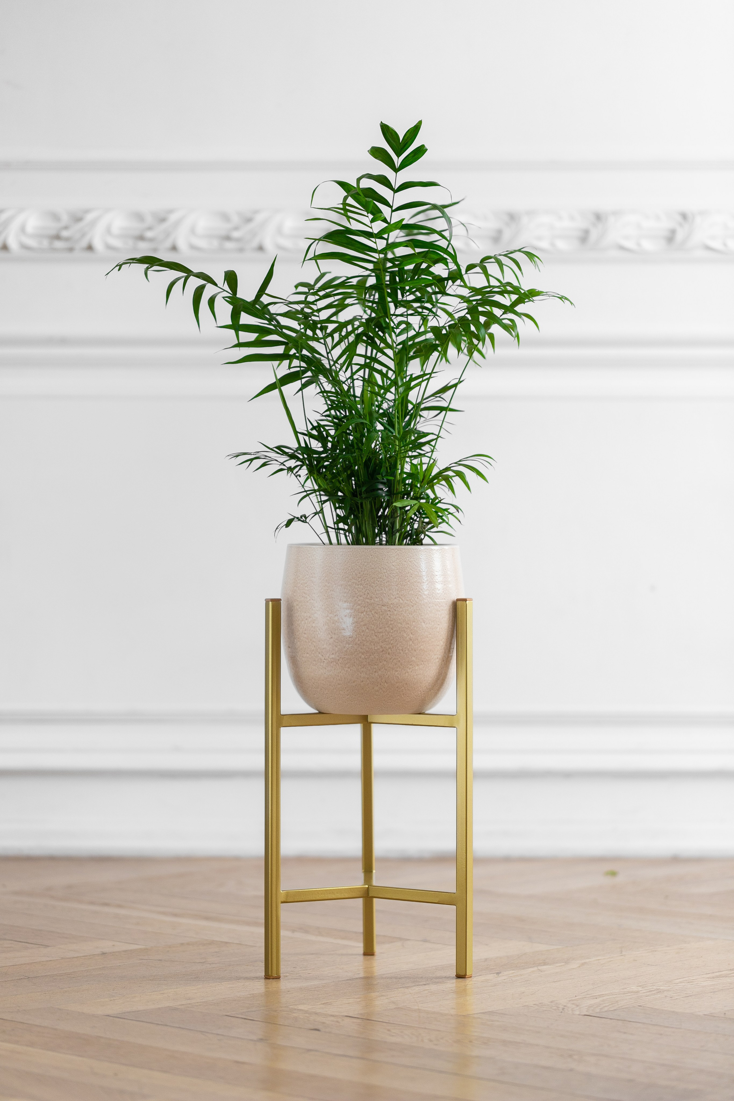 GREENWEEN. Дизайнерская мебель. Интерьерный фотограф и видеограф в Санкт-Петербурге Вадим Балбашевский