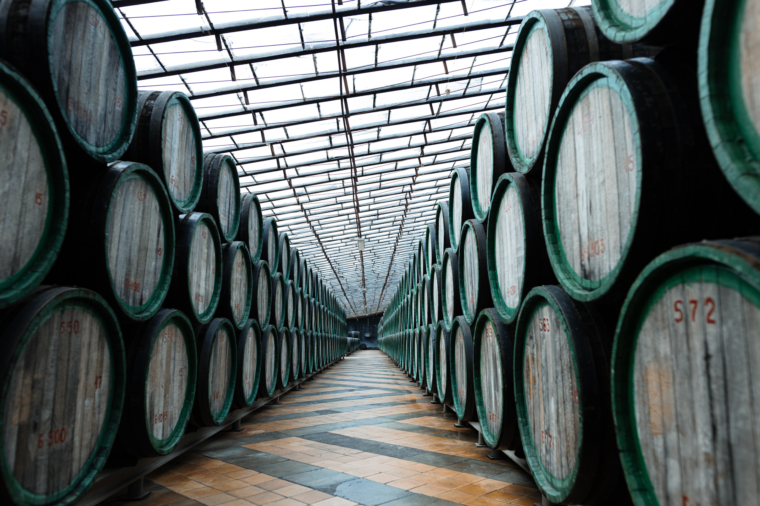 Виноградный завод. Евгения Волошина Фотограф Москва / Белгород