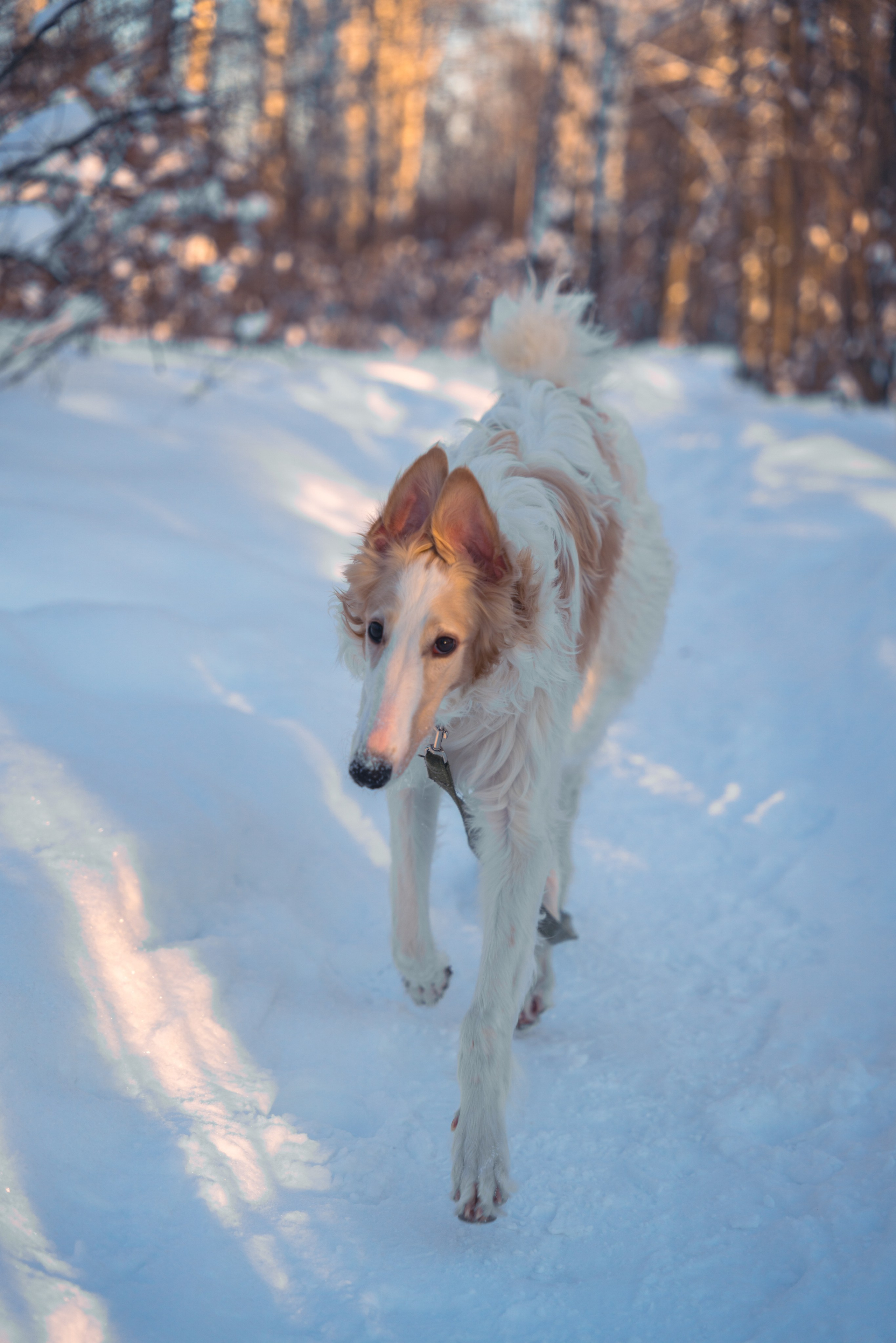 Лена, Январь 2024