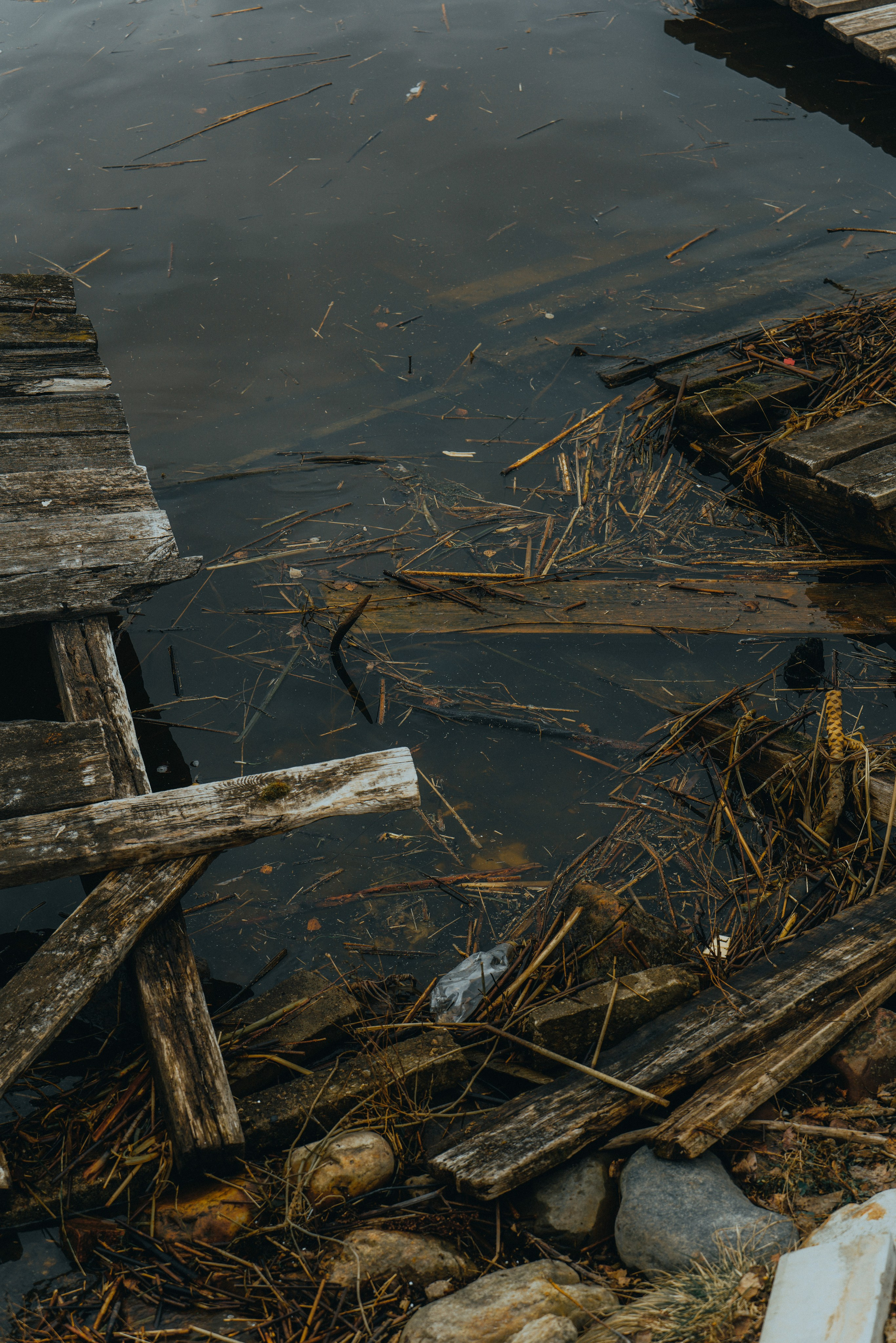 Плёс, Апрель 2022