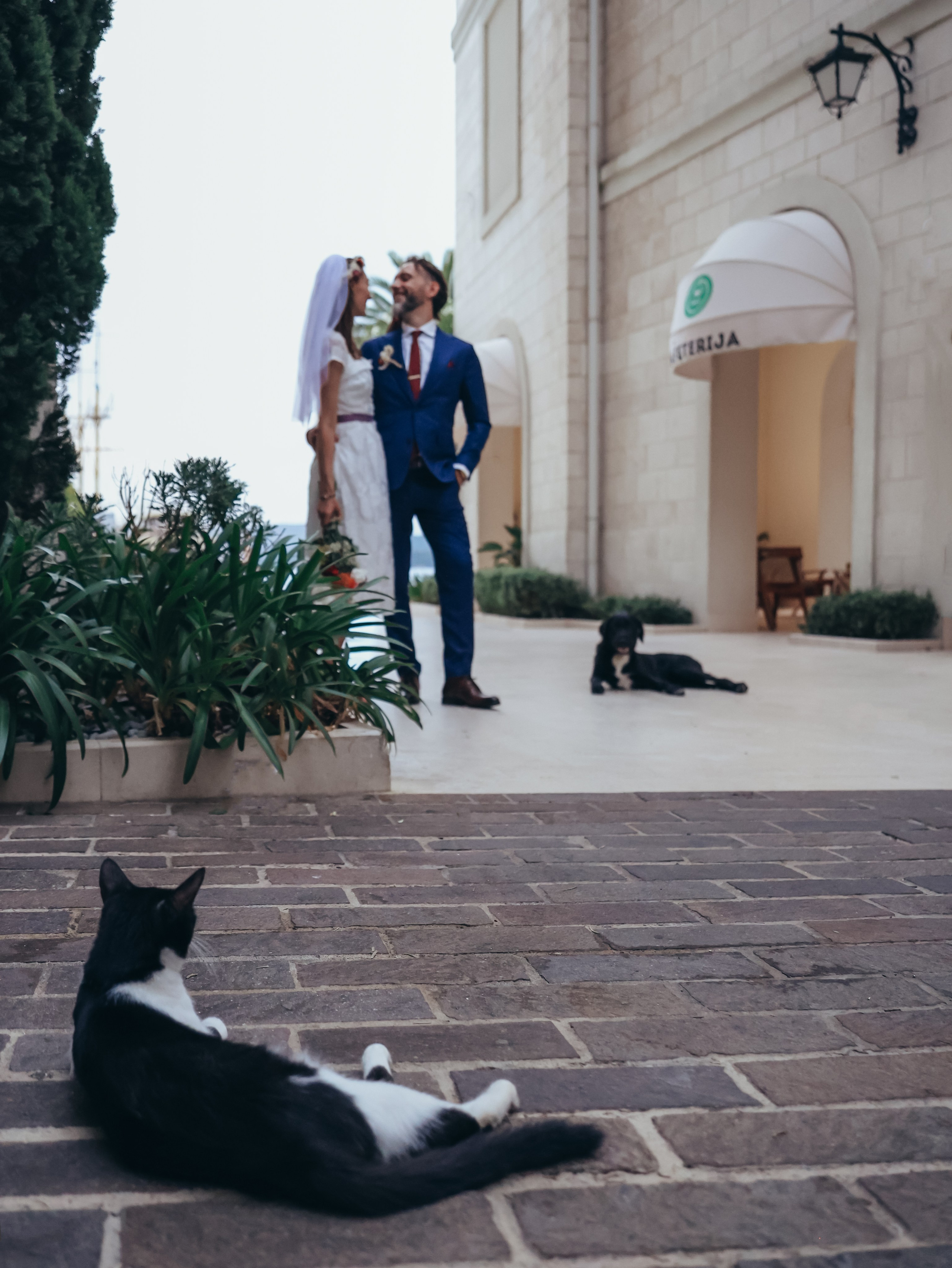 Celebration of Love by Brynn & Zoran. Портретный фотограф в Тивате Черногория Катерина Кирсанова