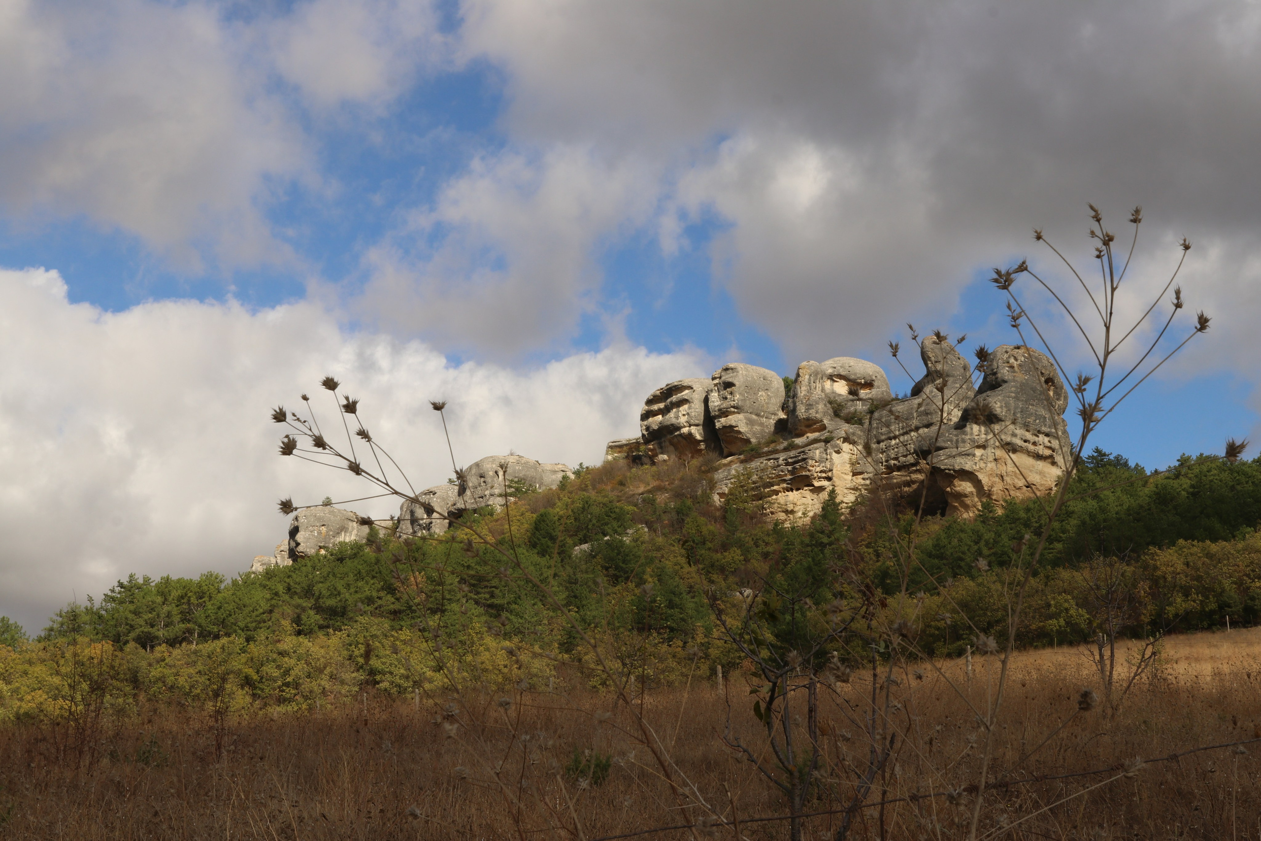 Крым. ЮБК (Гурзуф, Судак и их окрестности). Ноябрь 2023. Путешественник-фотограф из Санкт-Петербурга Татьяна Свистулина