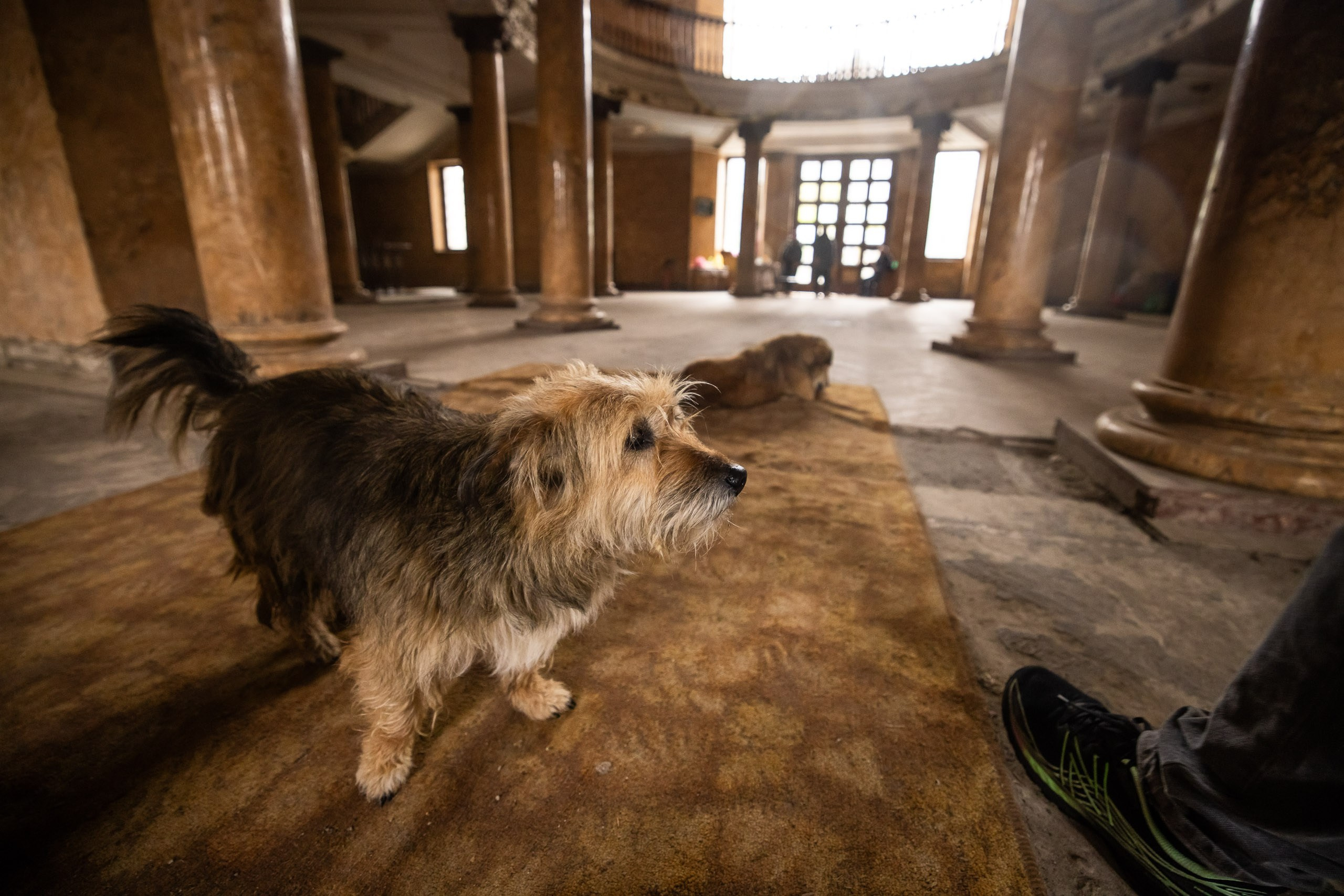 Руины Цхалтубо. Промышленный фотограф, фоторепортаж, Россия