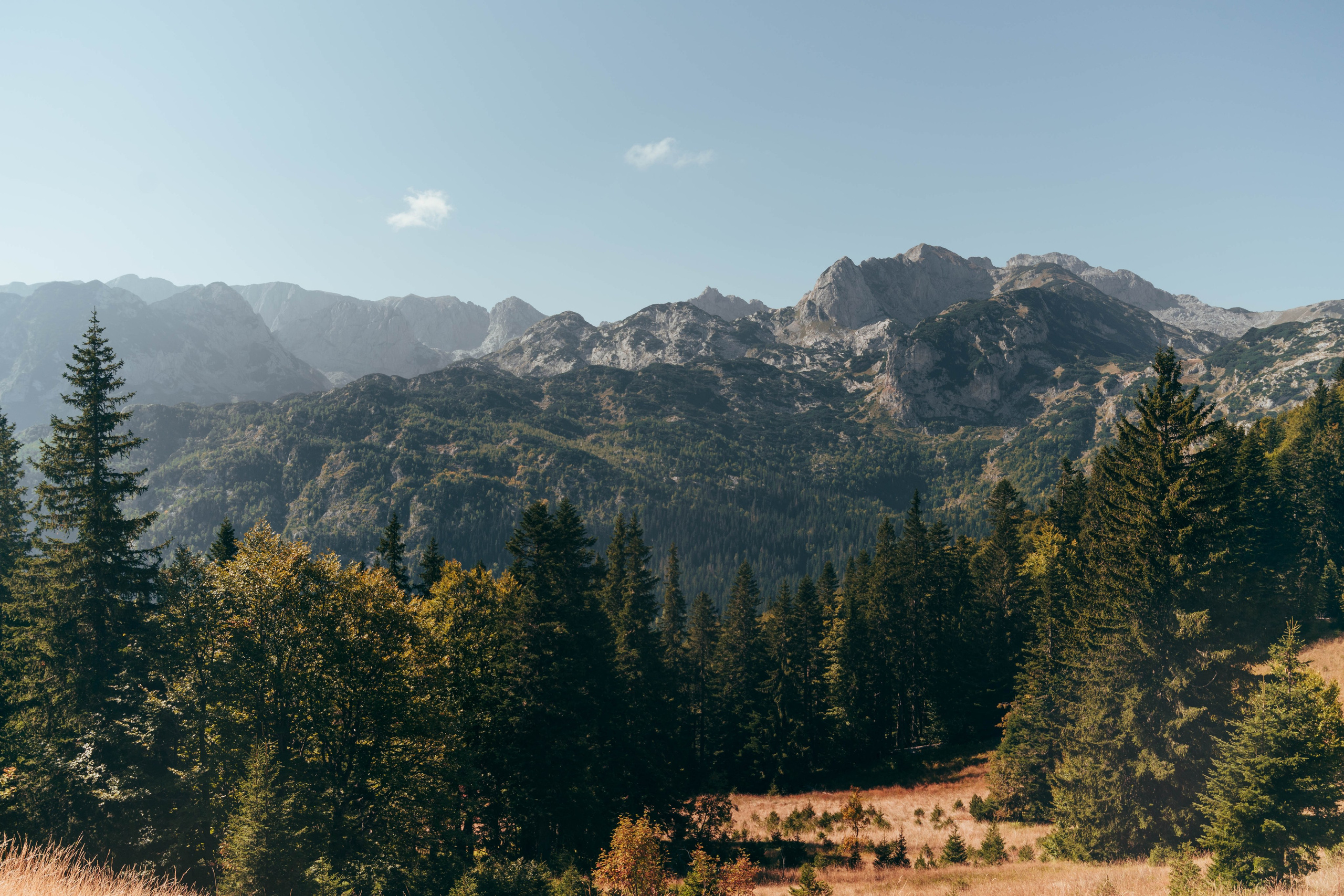 ЦРВЕНА ГРЕДА. ЧЕРНОГОРИЯ. Фотограф в Белграде Чугреева Елена