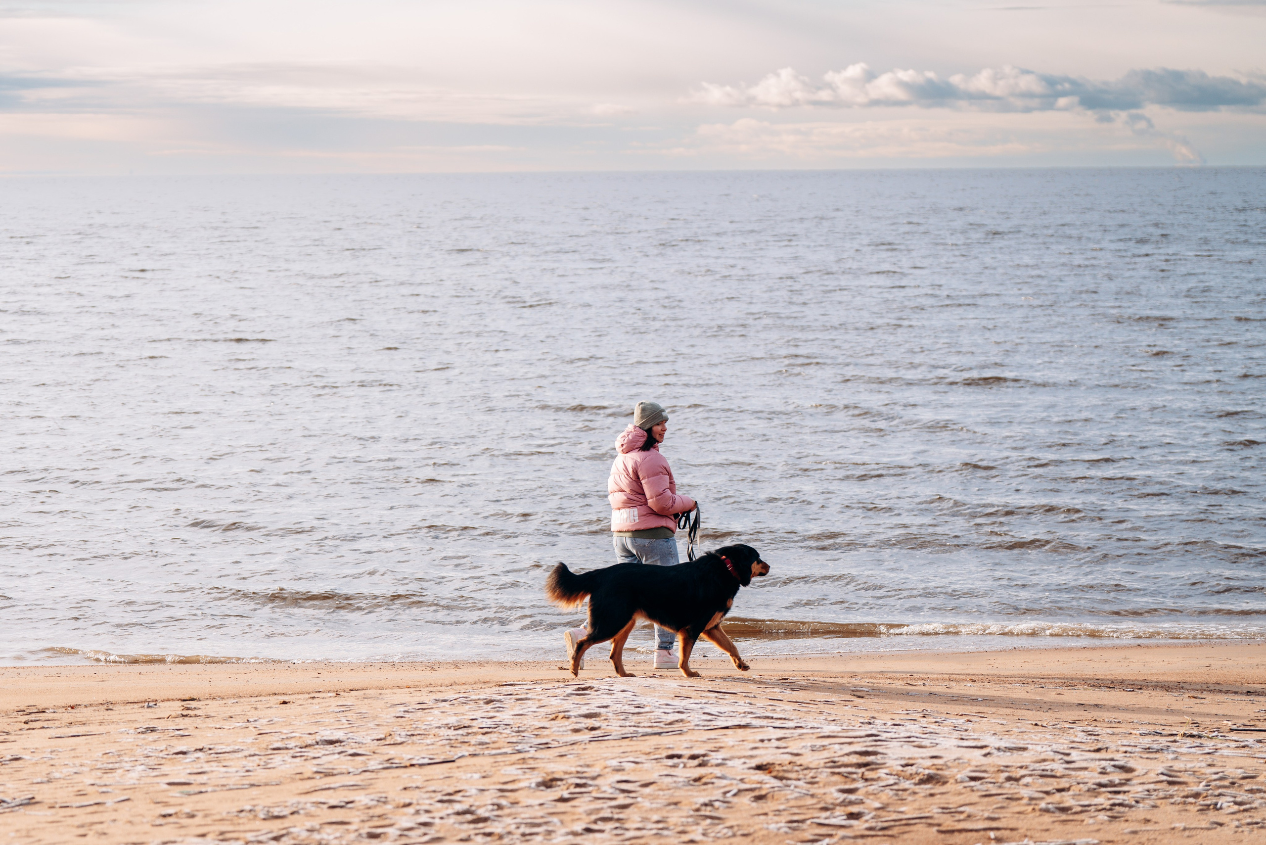 Глаша и Любовь. Фотограф анималист в Спб недорого Олеся Майорова