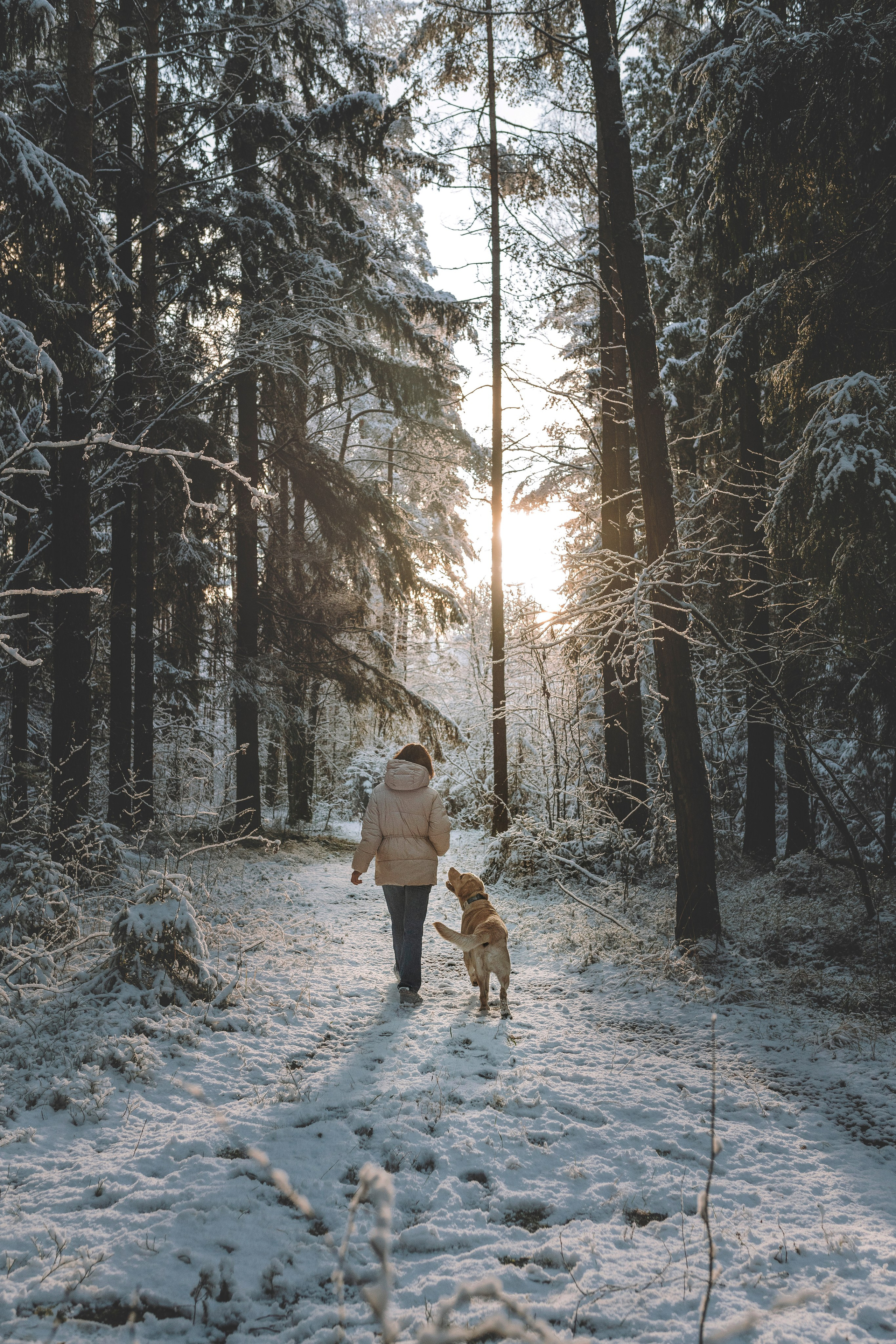 Аня и Честер. Фотограф анималист в Спб недорого Олеся Майорова