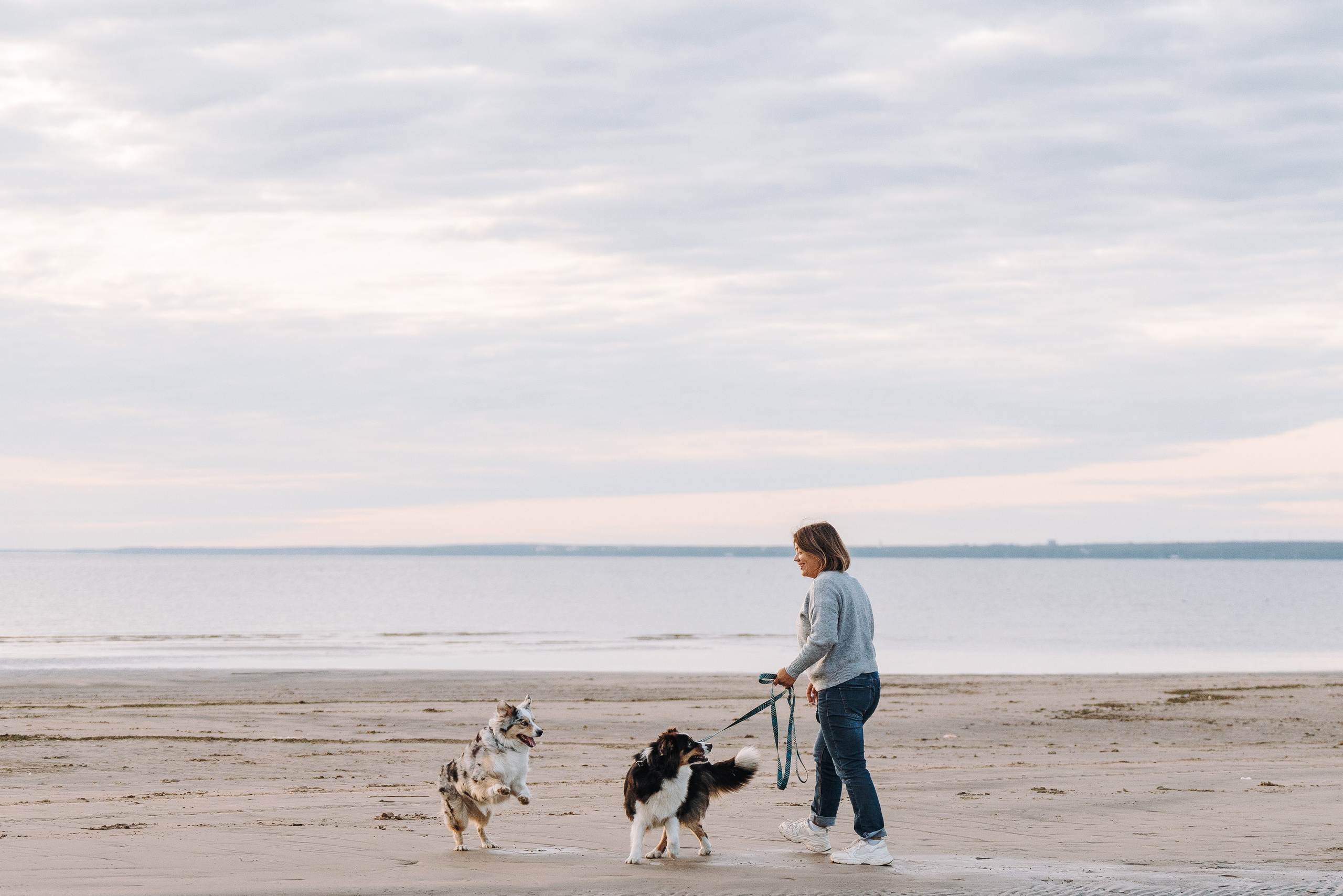 Фотограф анималист в Спб. Фотограф анималист в Спб недорого Олеся Майорова