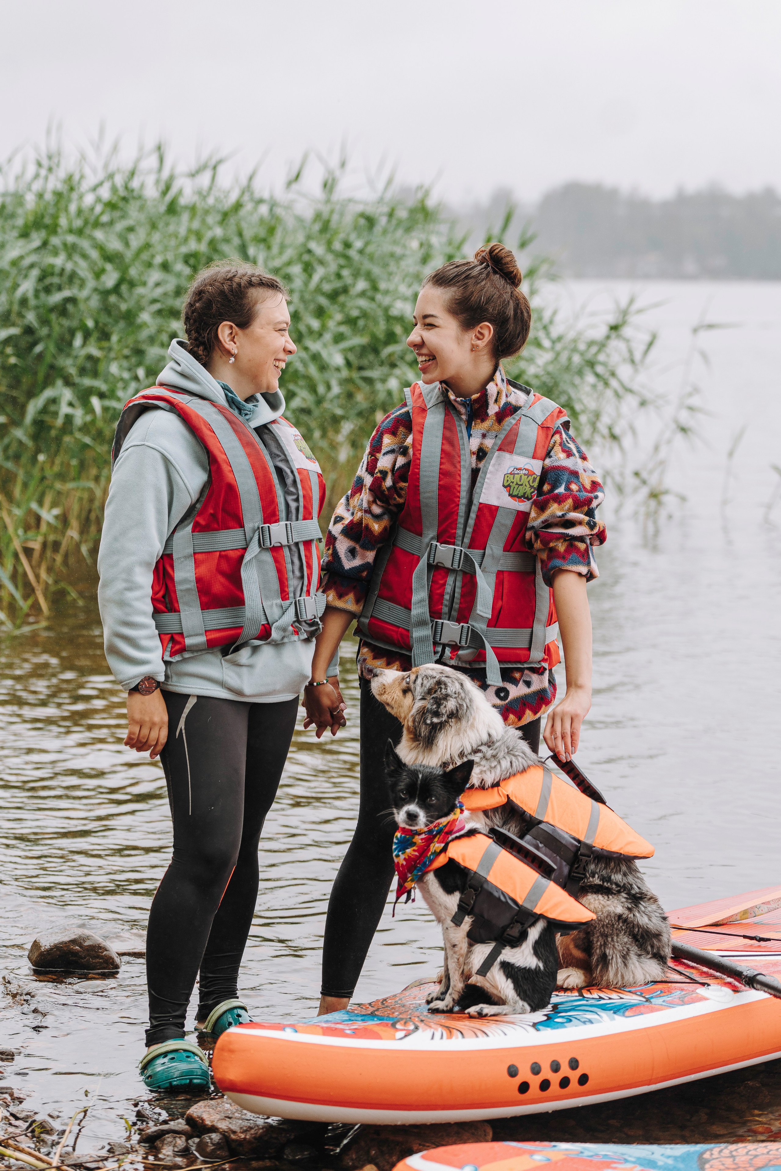 Катание на сапах с собаками. Фотограф анималист в Спб недорого Олеся Майорова