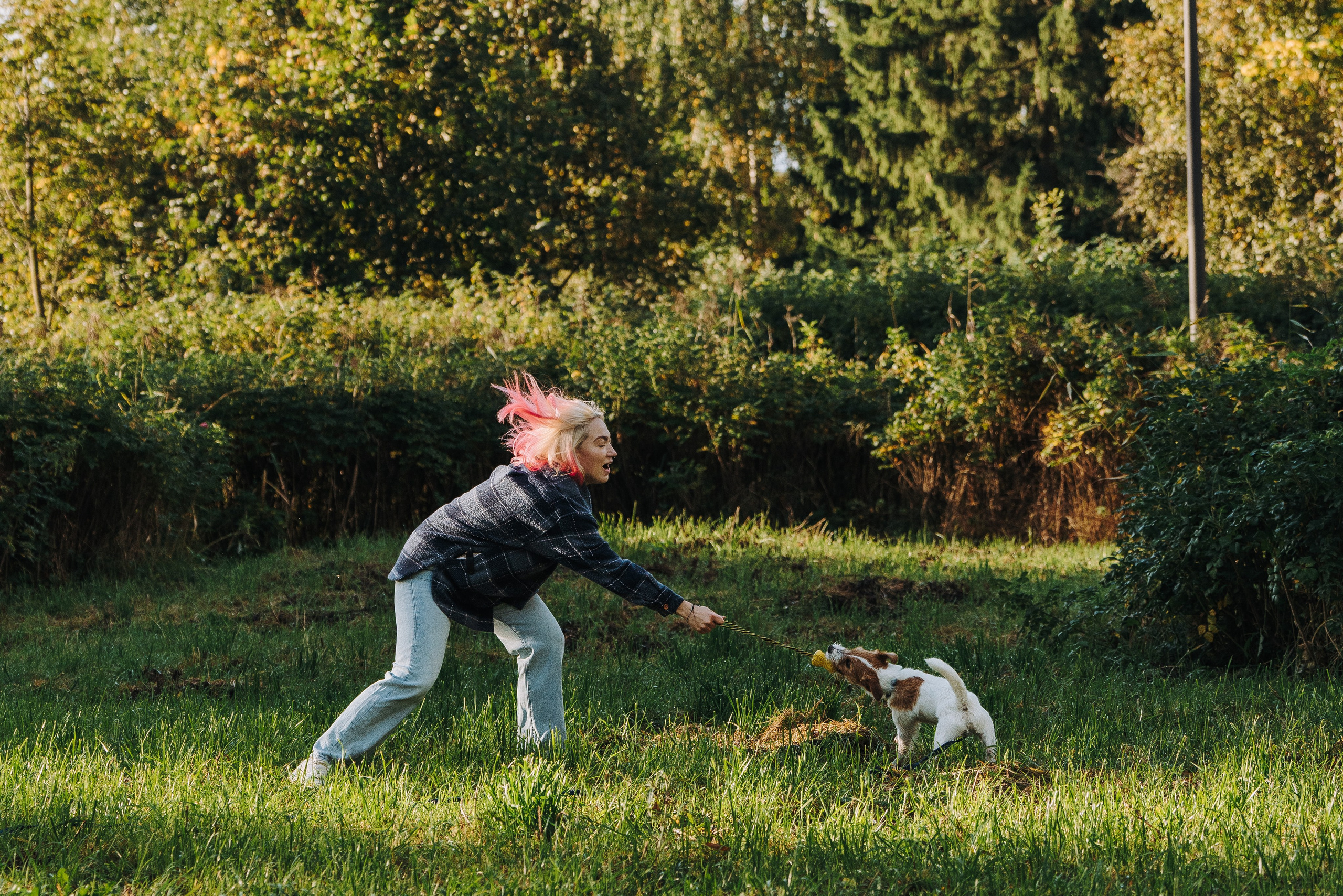 Фотосессия с маленькой собакой Спб. Фотограф анималист в Спб недорого Олеся Майорова