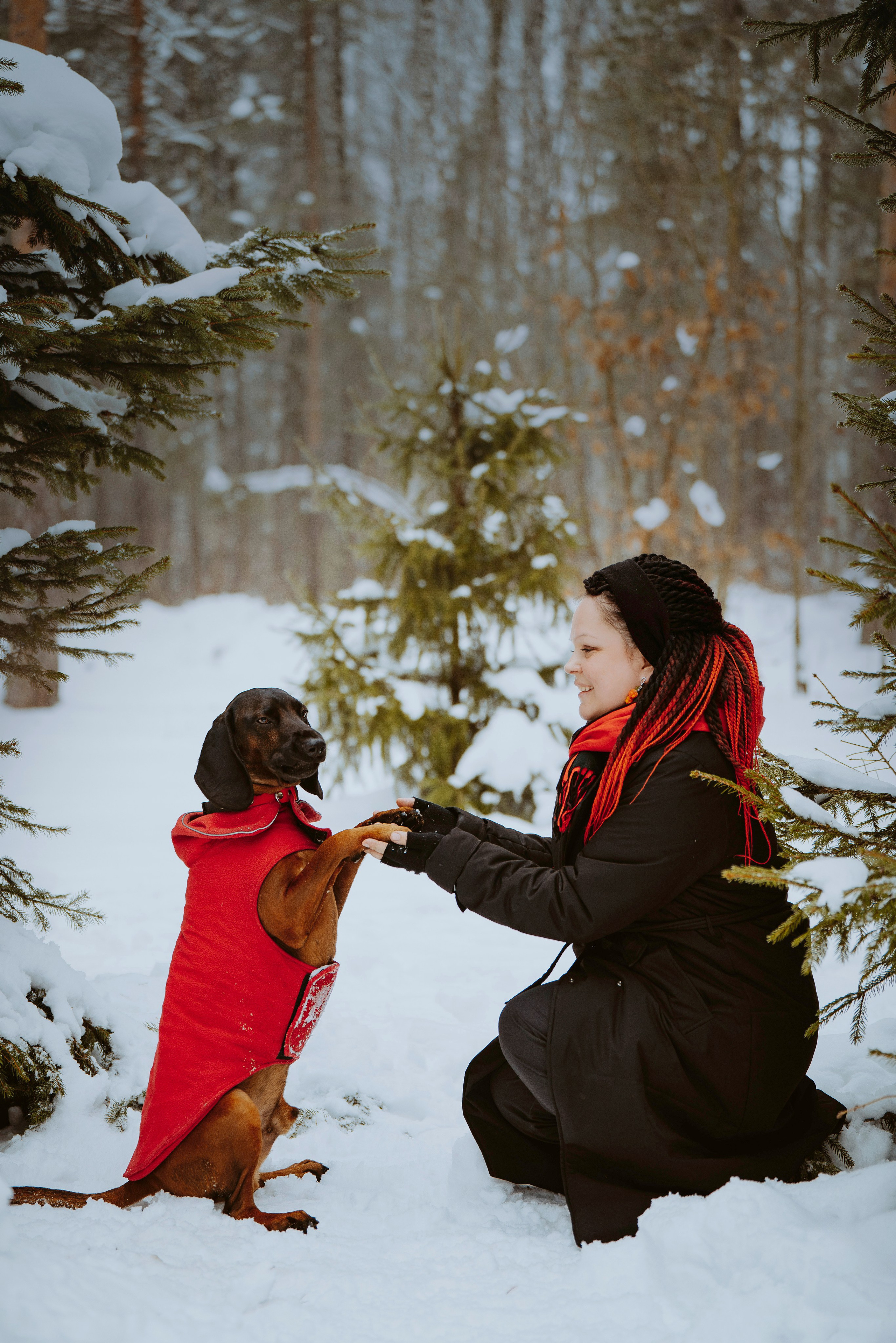 Ольга, Рора и Румпель. Фотограф анималист в Спб недорого Олеся Майорова