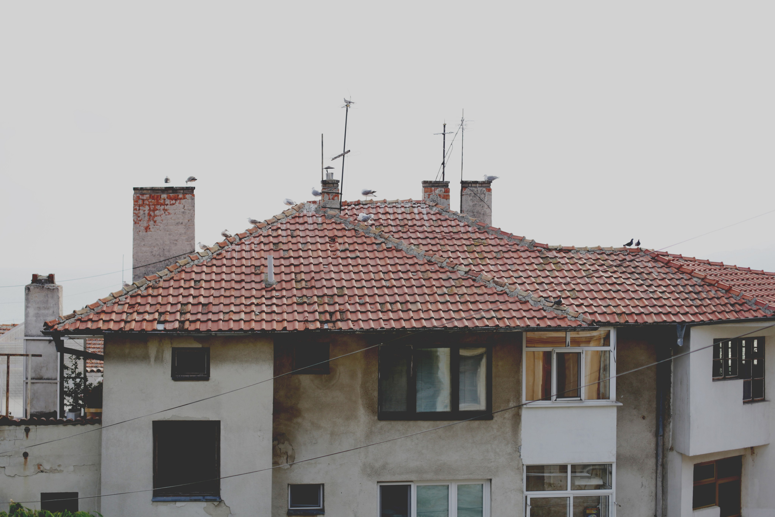 Болгария. Аня Степанова