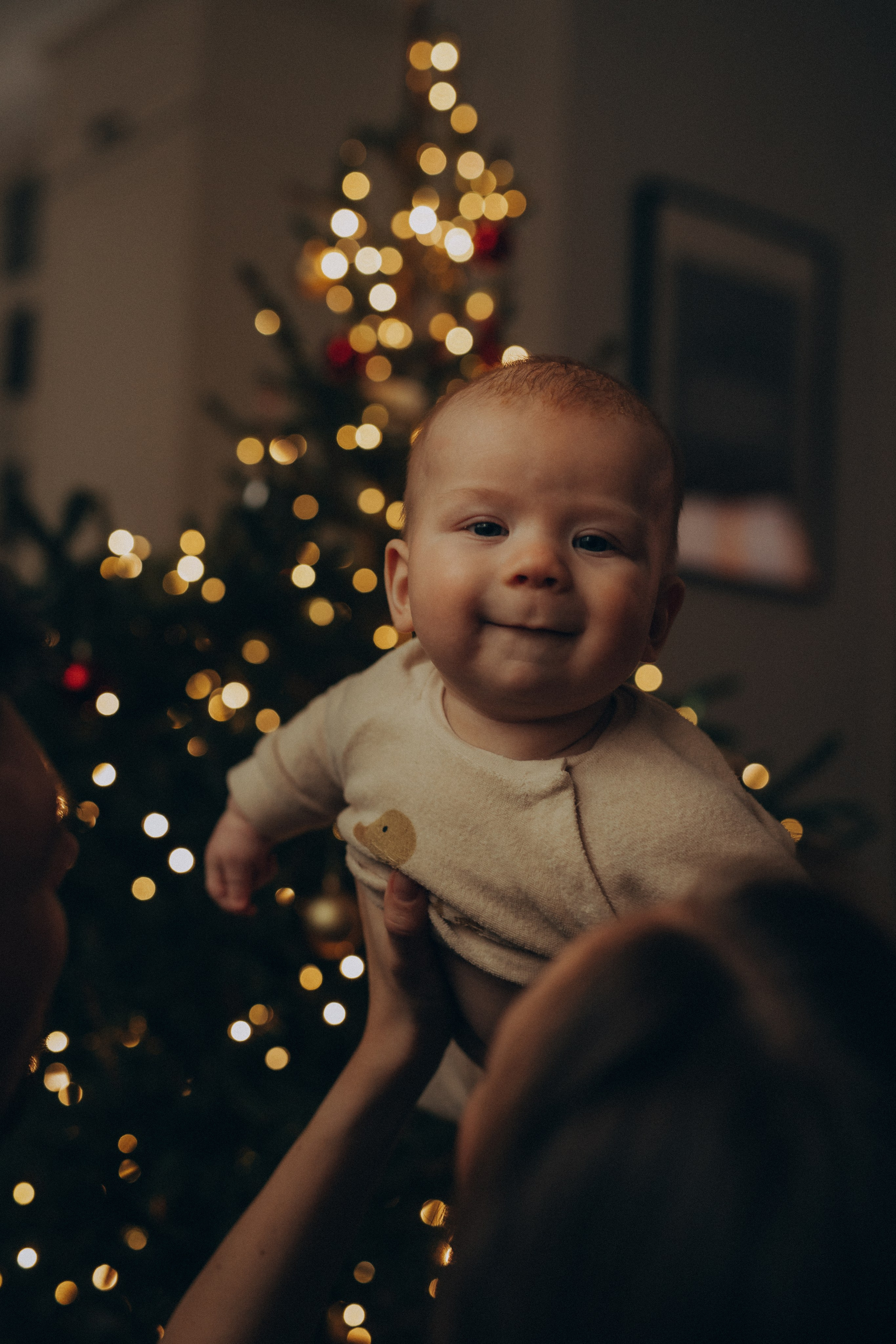 Lifestyle New Year малыши. Фотограф новорожденных в Ярославле Ольга Зимина