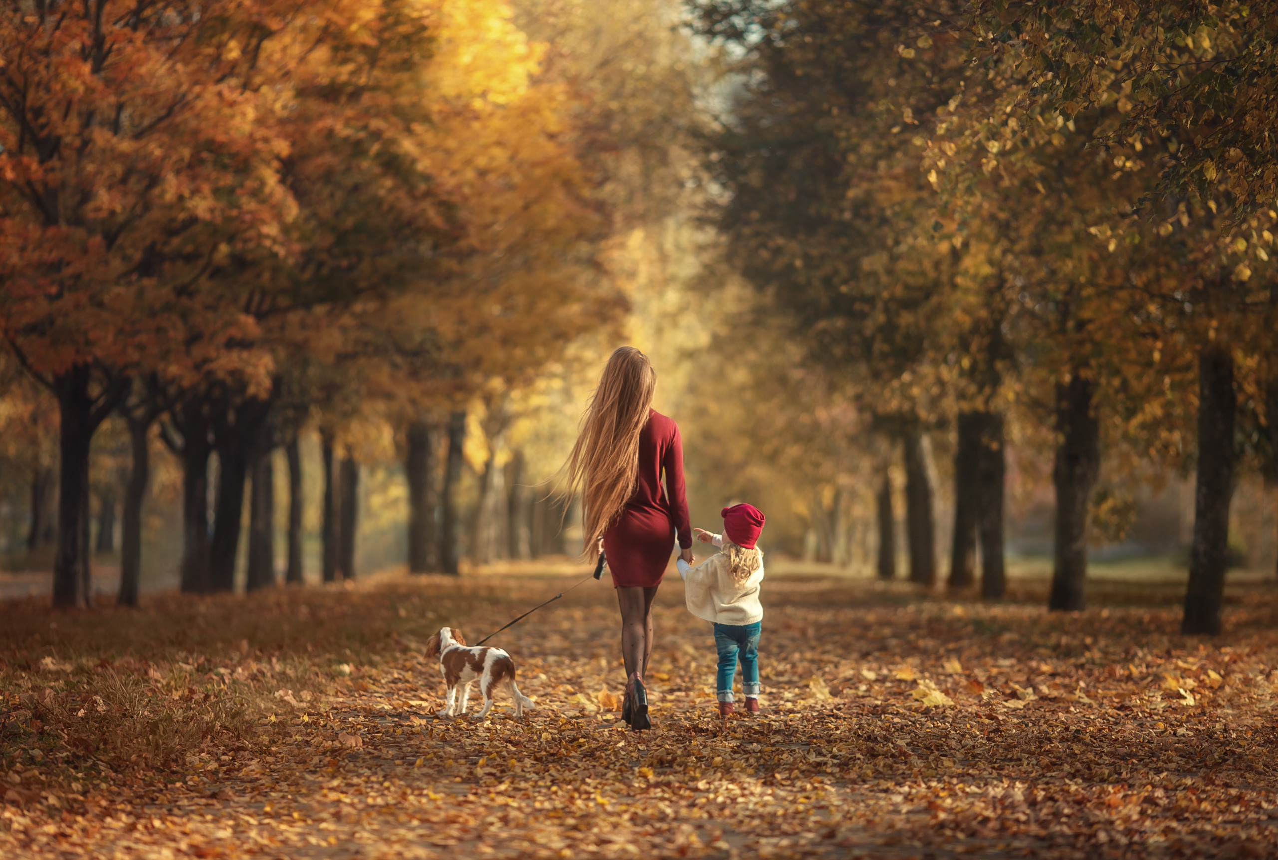 Семейные истории. Фотограф беременности и семейный фотограф в Могилеве, Минске Елена Шин