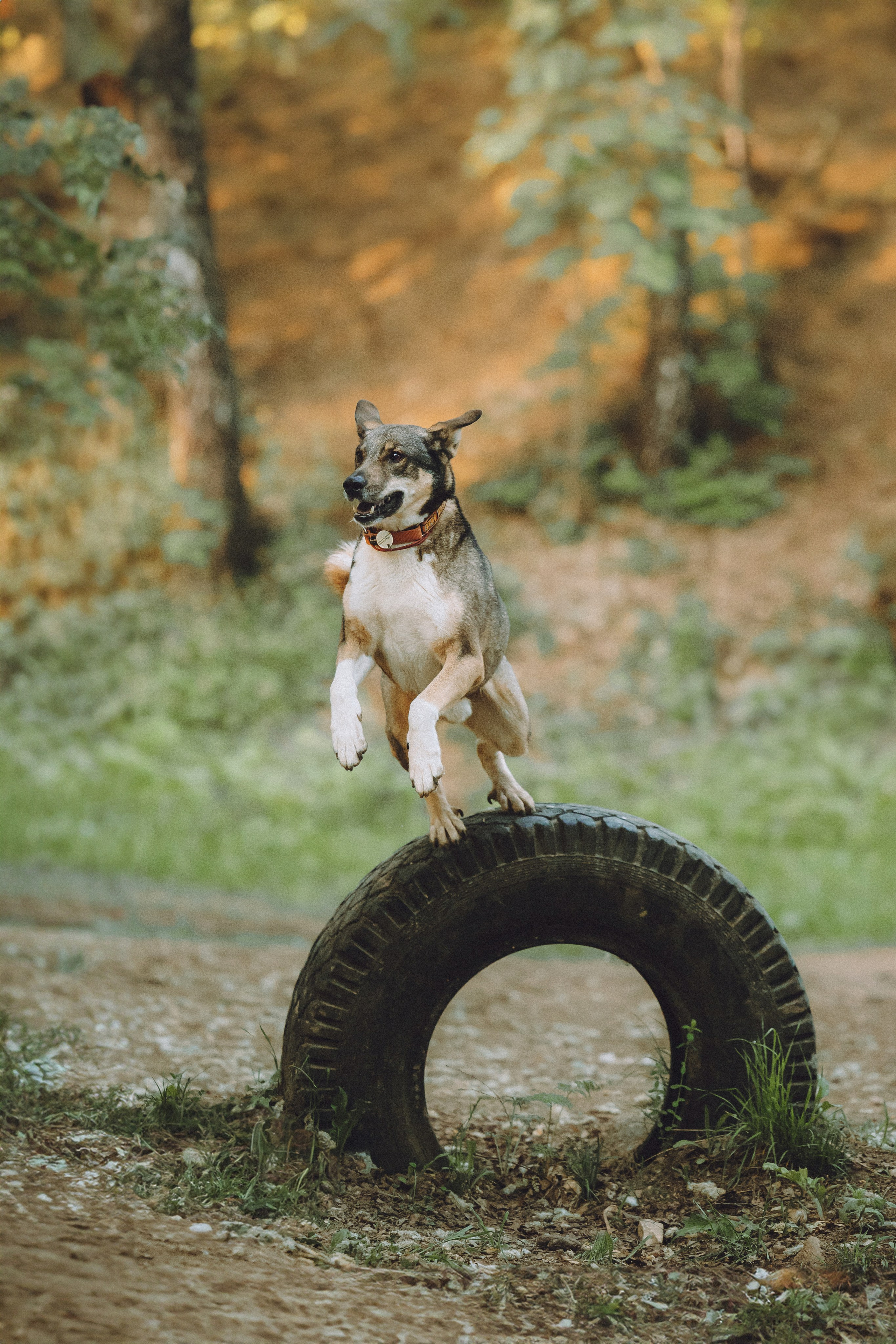 Катя и Крис