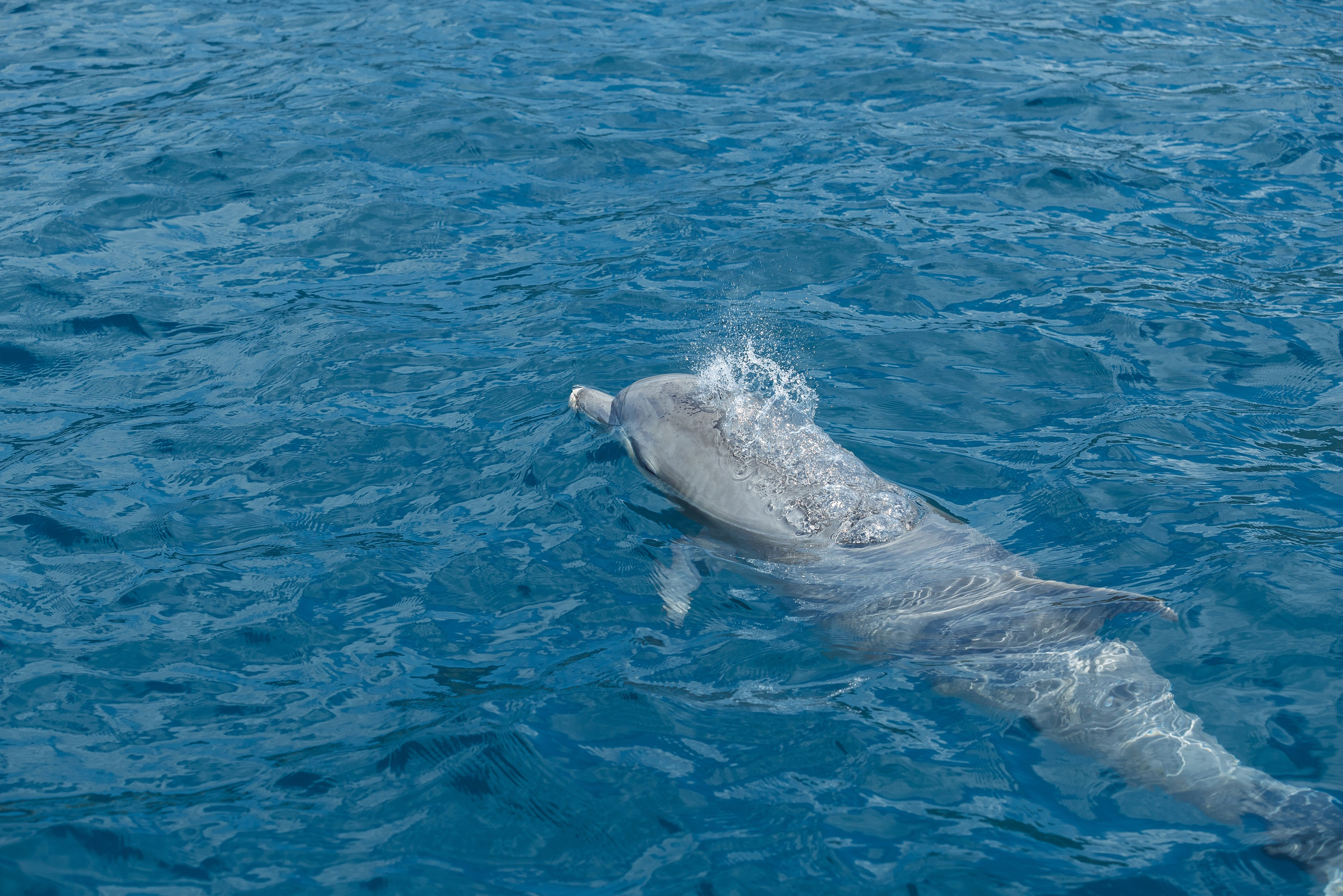 Морская Романтика. Артем Корнев Фотограф
