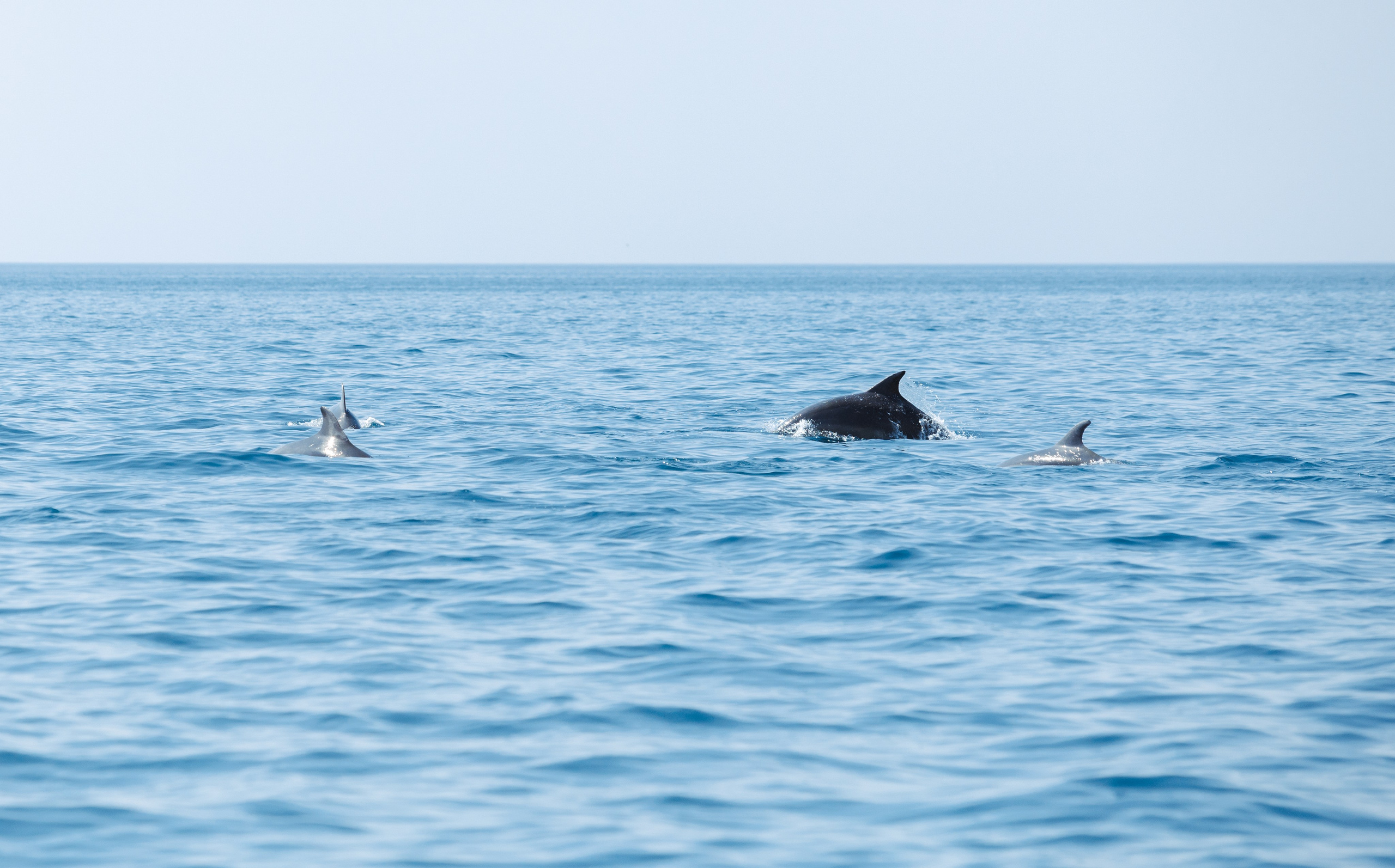 Морская Романтика. Артем Корнев Фотограф
