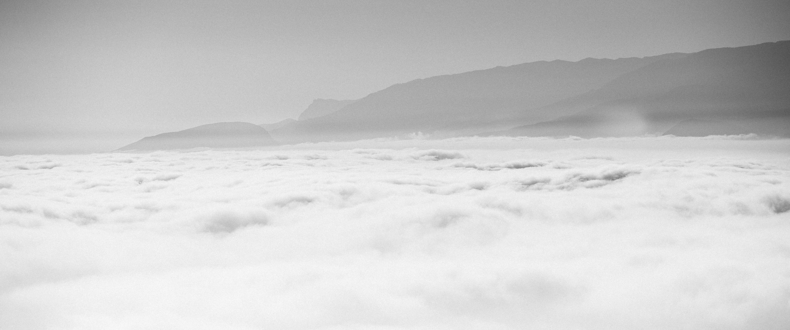 Nature. Артем Корнев Фотограф