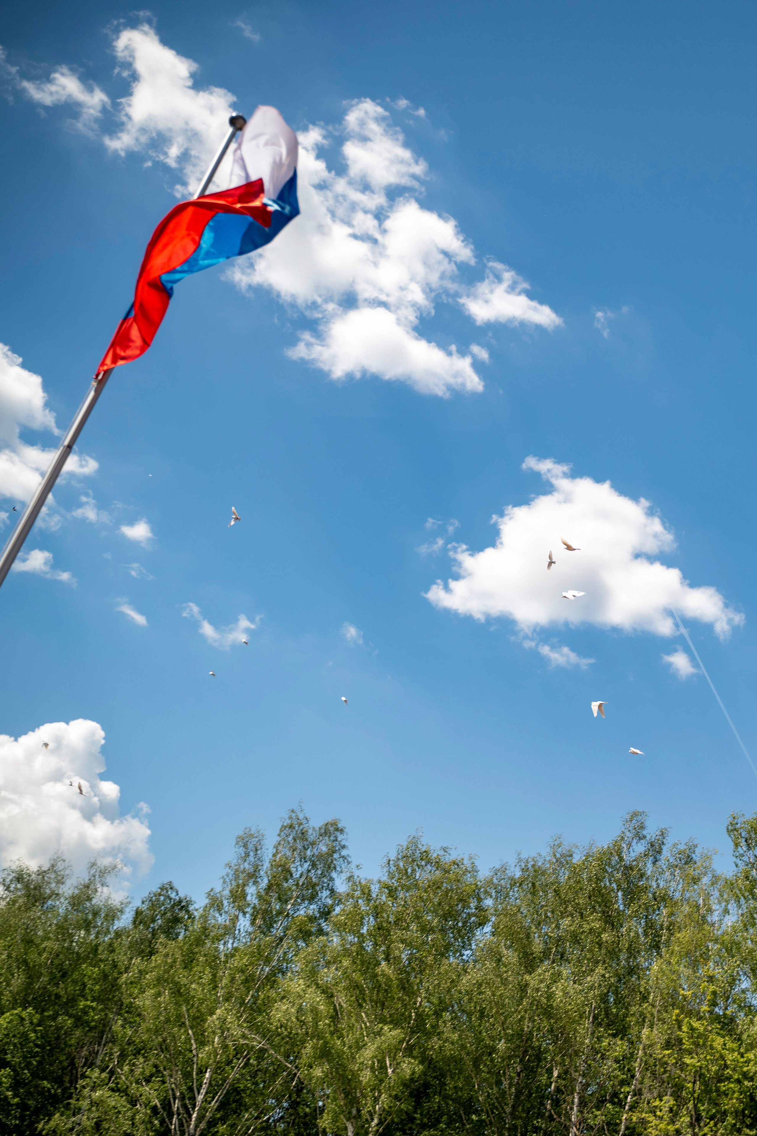 Последний звонок 11 класс. Фотограф самых запоминающихся моментов Вашей жизни